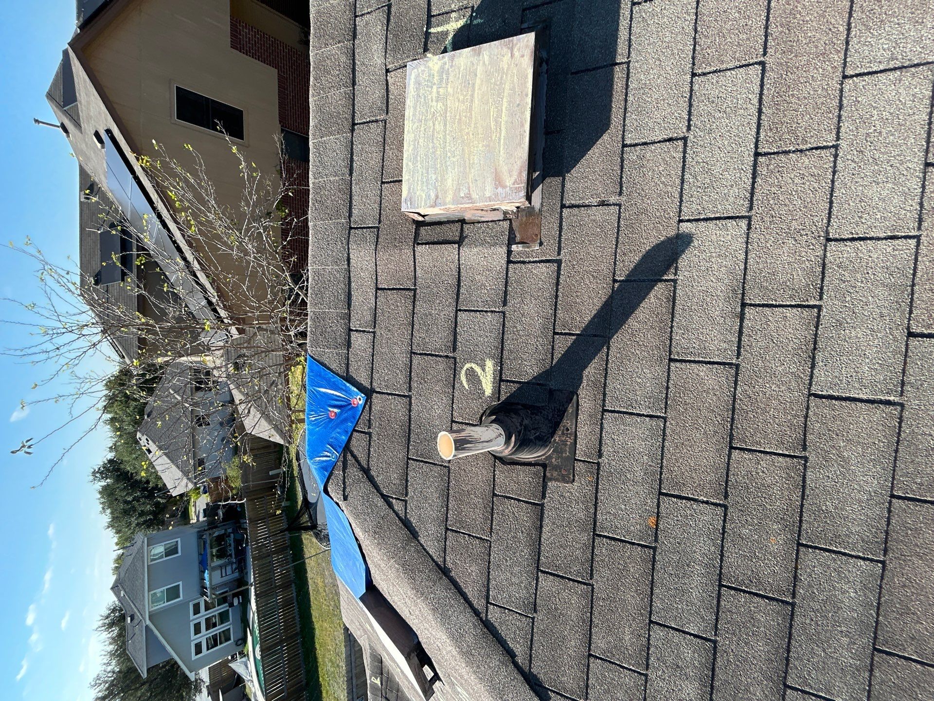 Miss Bridgette by REPS Austin Area Roofer
