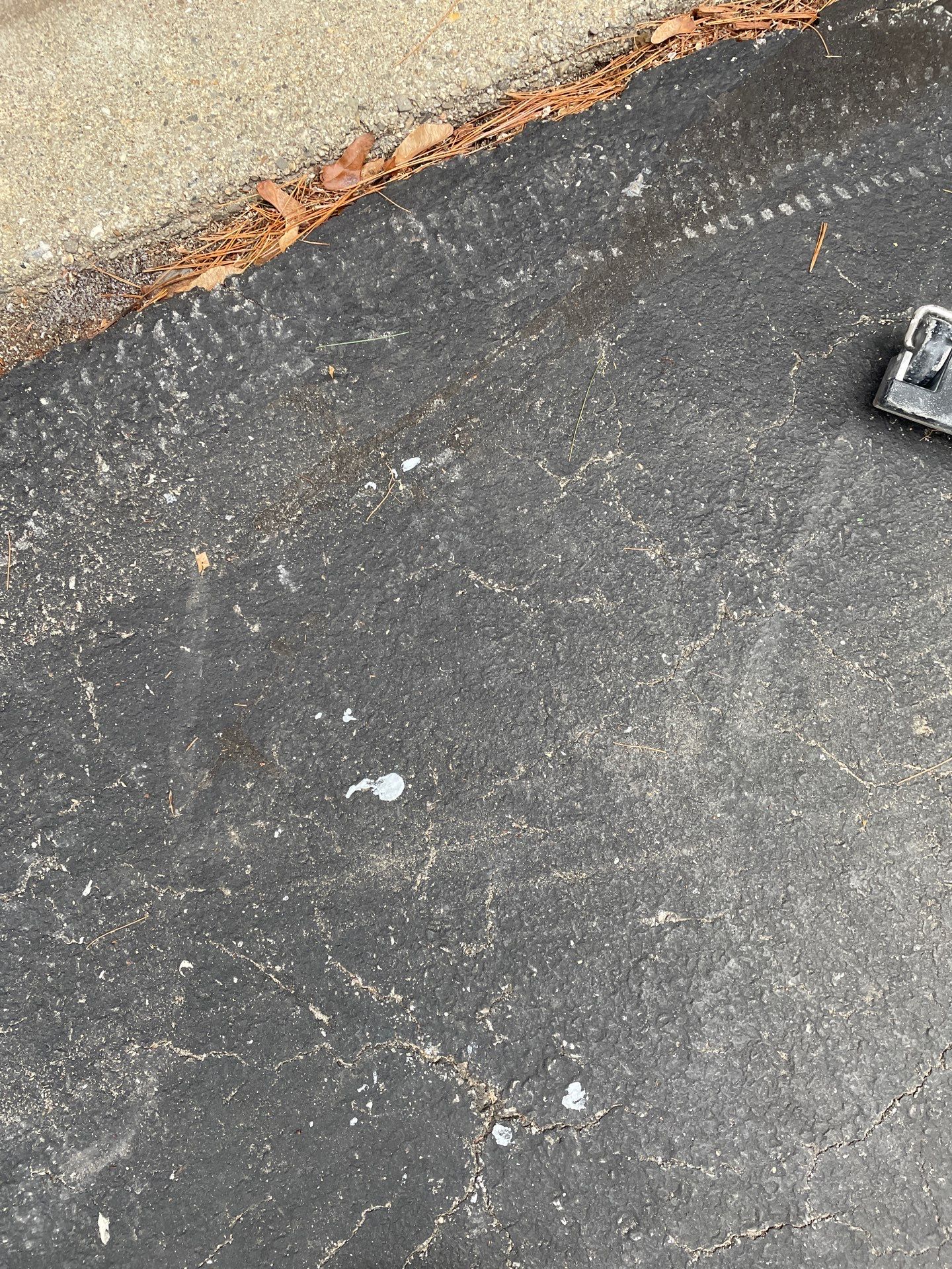 Maestranzi Garage TransFLOORmation by Symphony Concrete Coatings