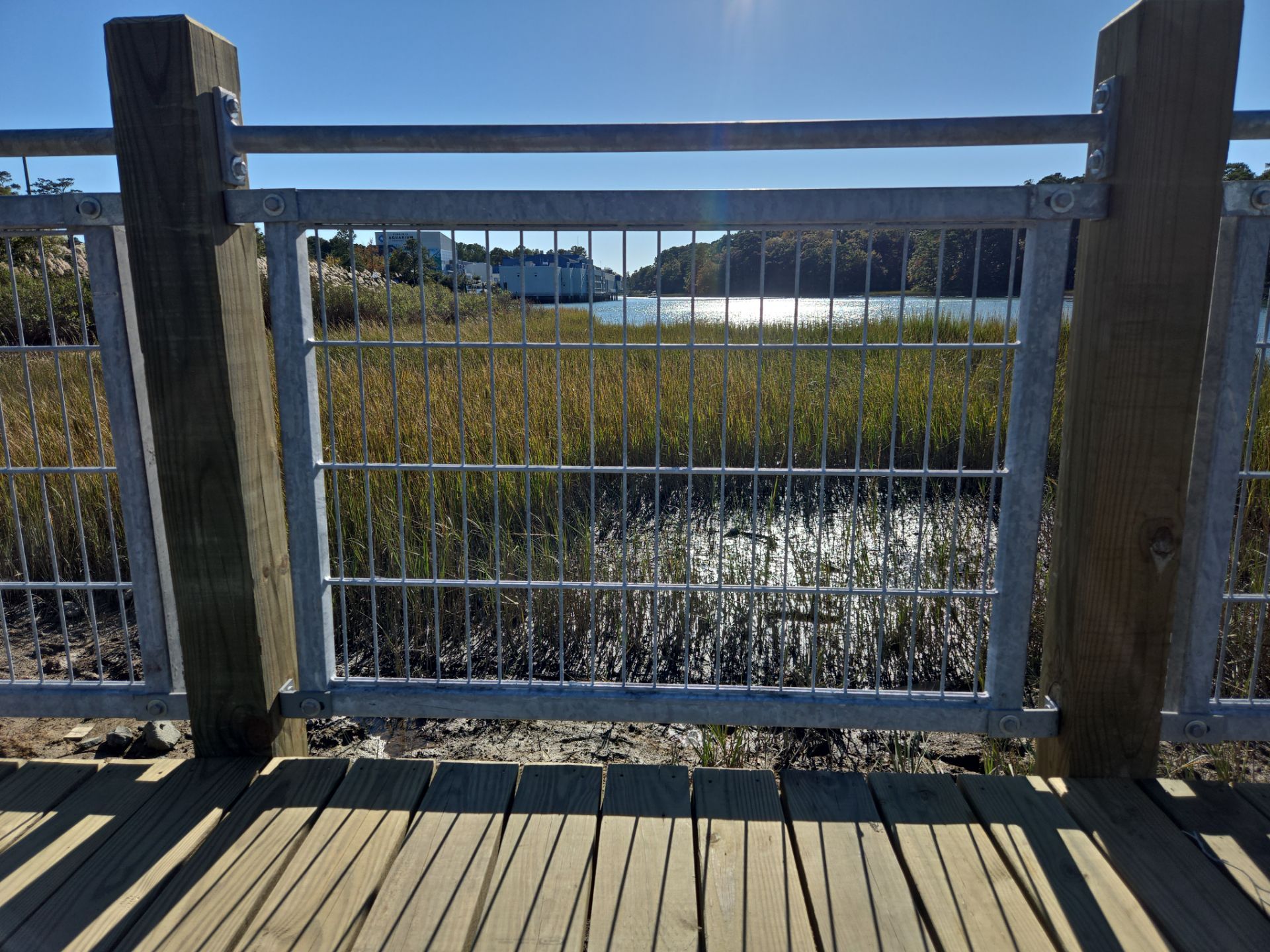 Project in Virginia Beach by Gregory Sandstrom