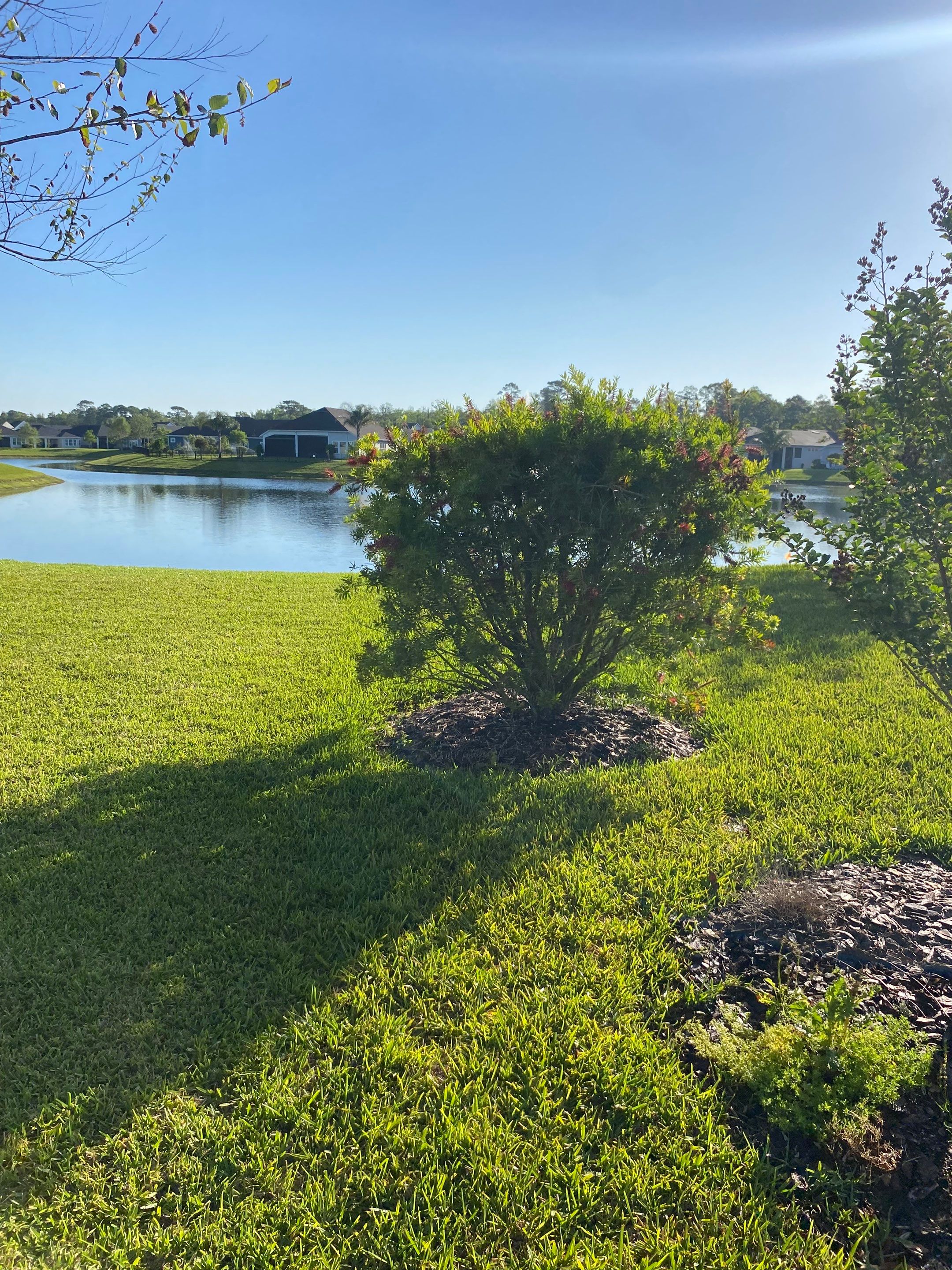 Residential | Clean-up, Sod and Rock Installation by ProGreen Services