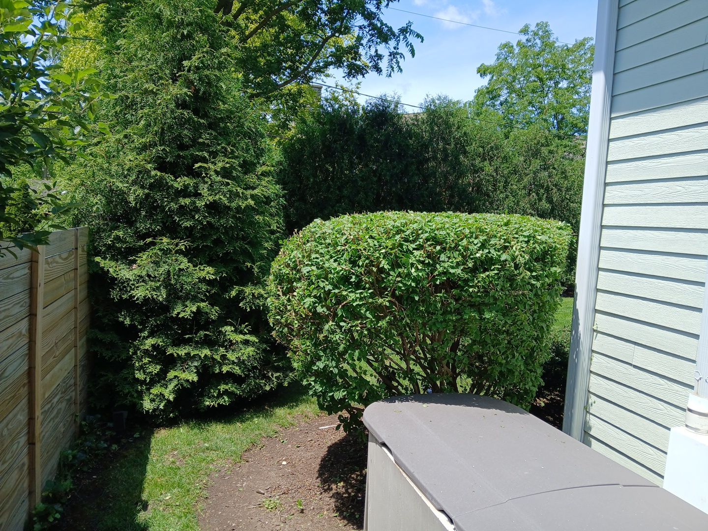 Lisa C. - Arlington Heights, IL by A&N
