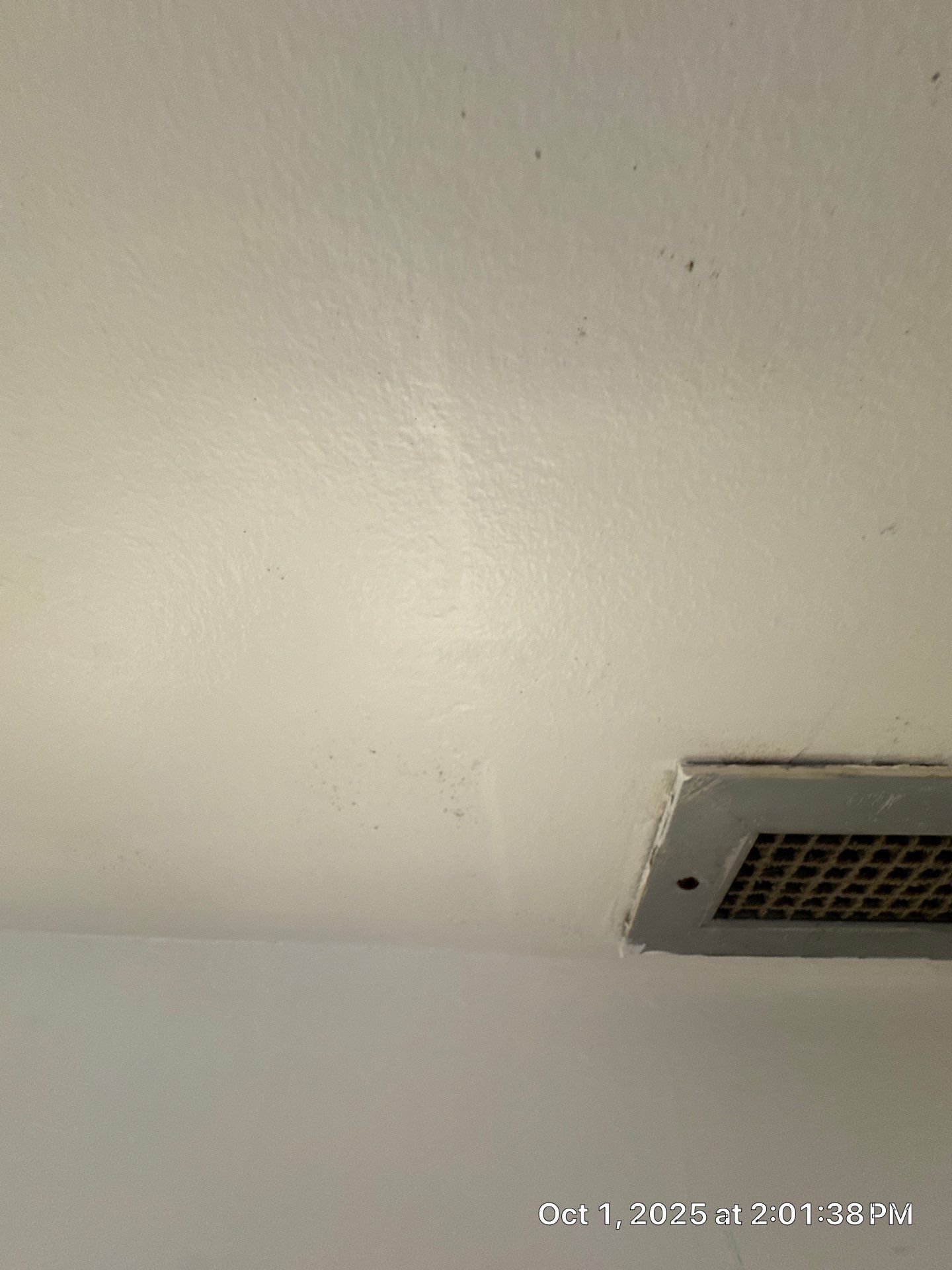 mold by SuperClean 