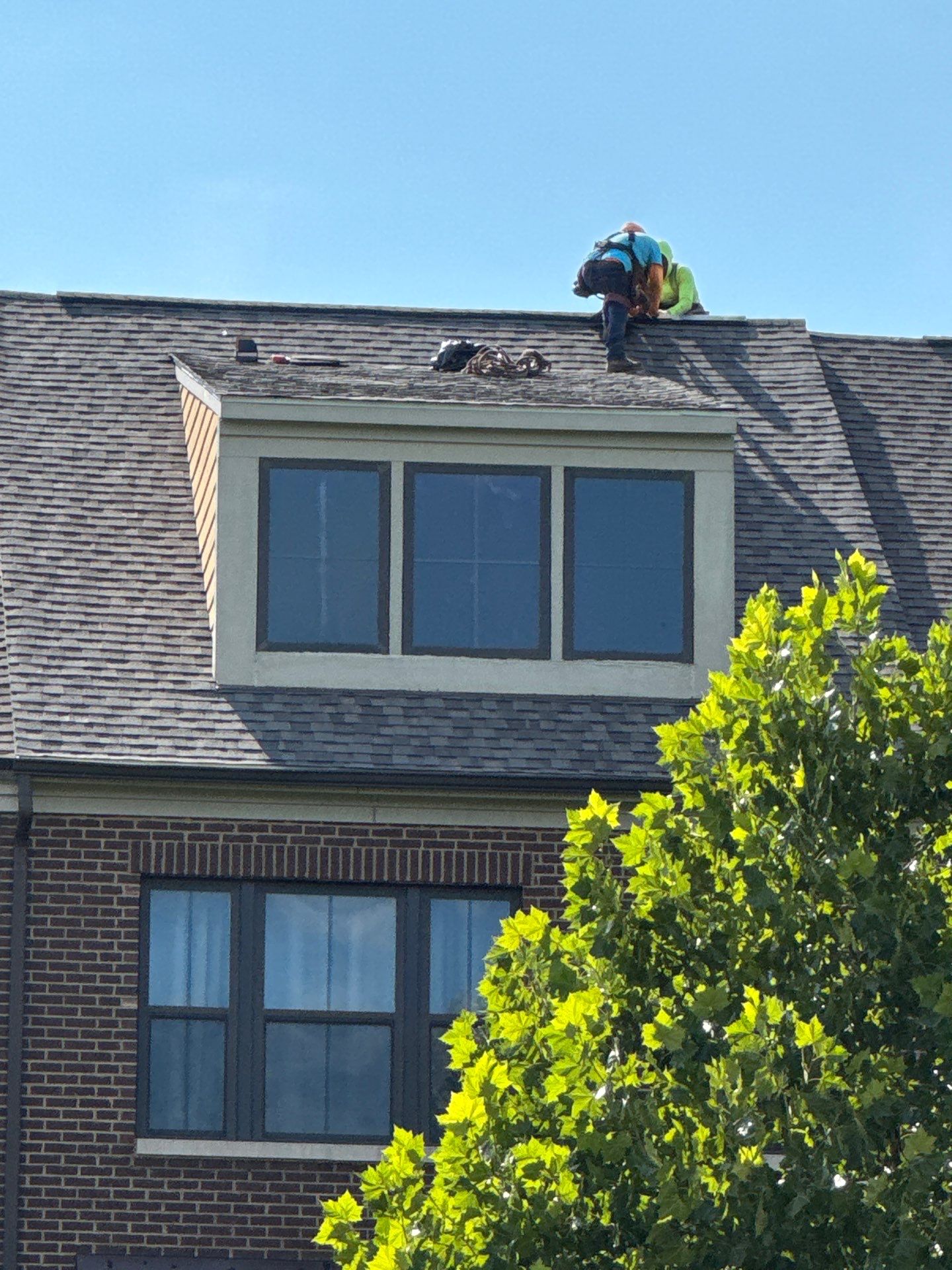 New Shingle Roof Installation  by Alpha Design Services