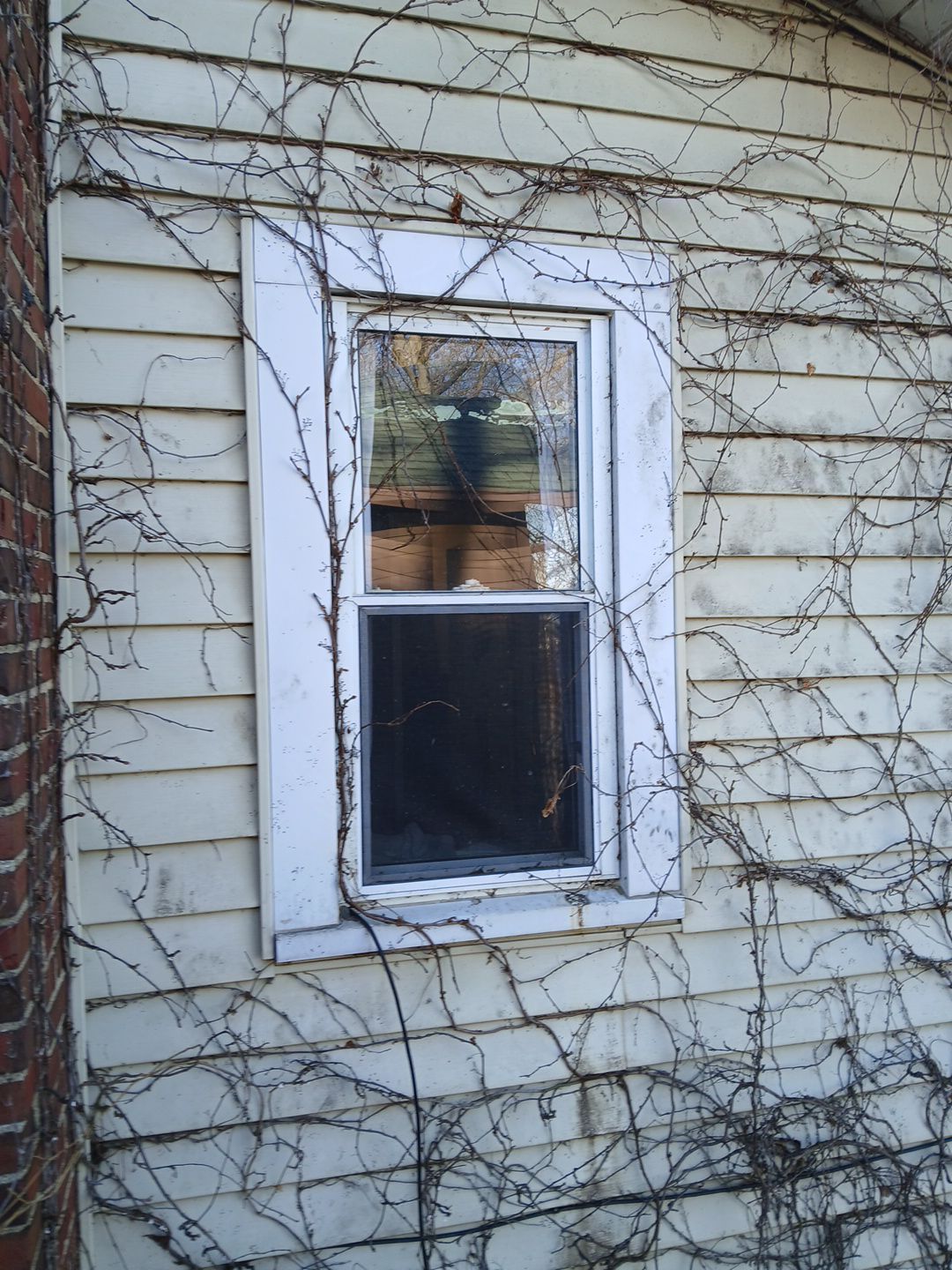 14 Replacement Window Project - Syacuse, IN 46567 by Window World Of Fort Wayne