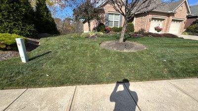 Sod Restoration