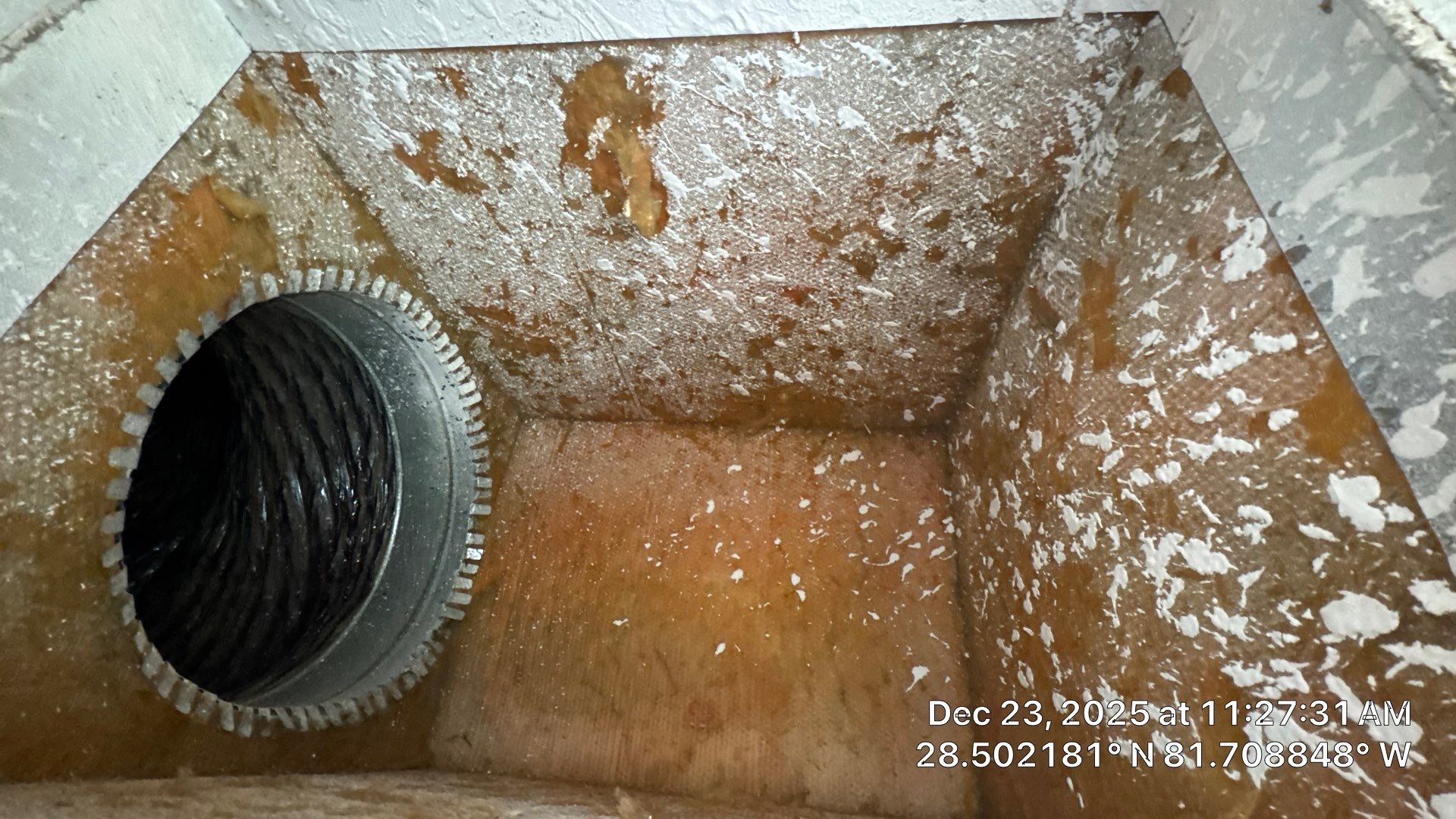 Air Duct Dryer Vent Cleaning Encapsulation Dryer Vent Repair in Clermont by Hygienic Air, Inc