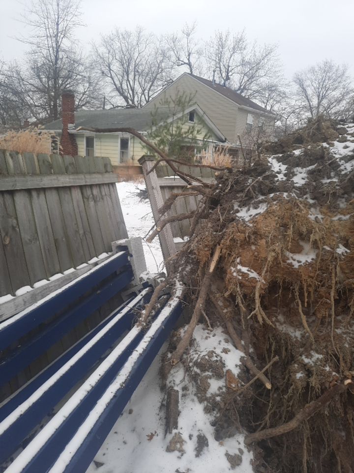 Storm Damaged Tree Removal  using Tree Removal by Mike Jones & Sons Tree Service LLC 