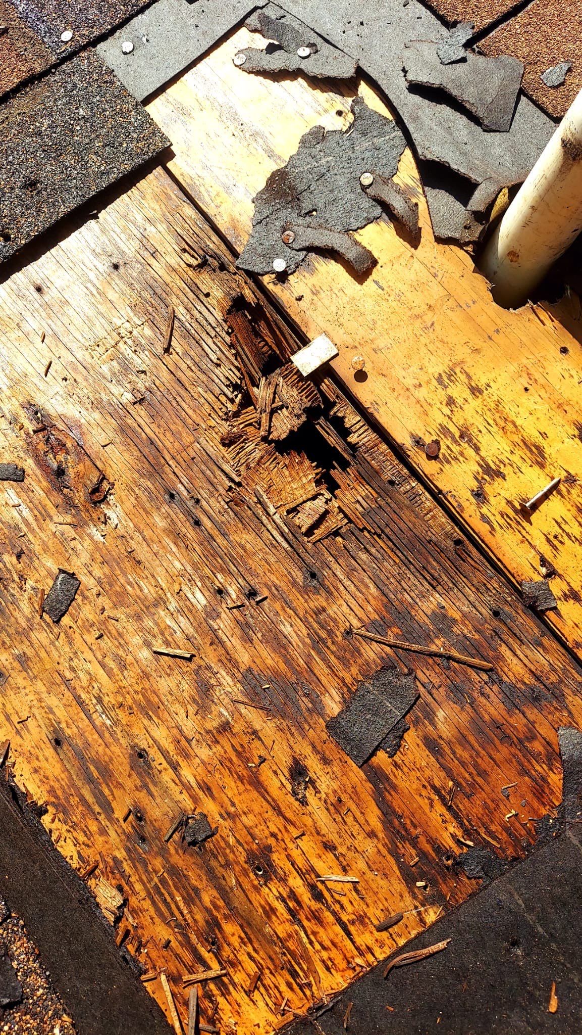 Hail Damage using Owen's Corning Duration (Lifetime) Shingles by Roof Repair Company