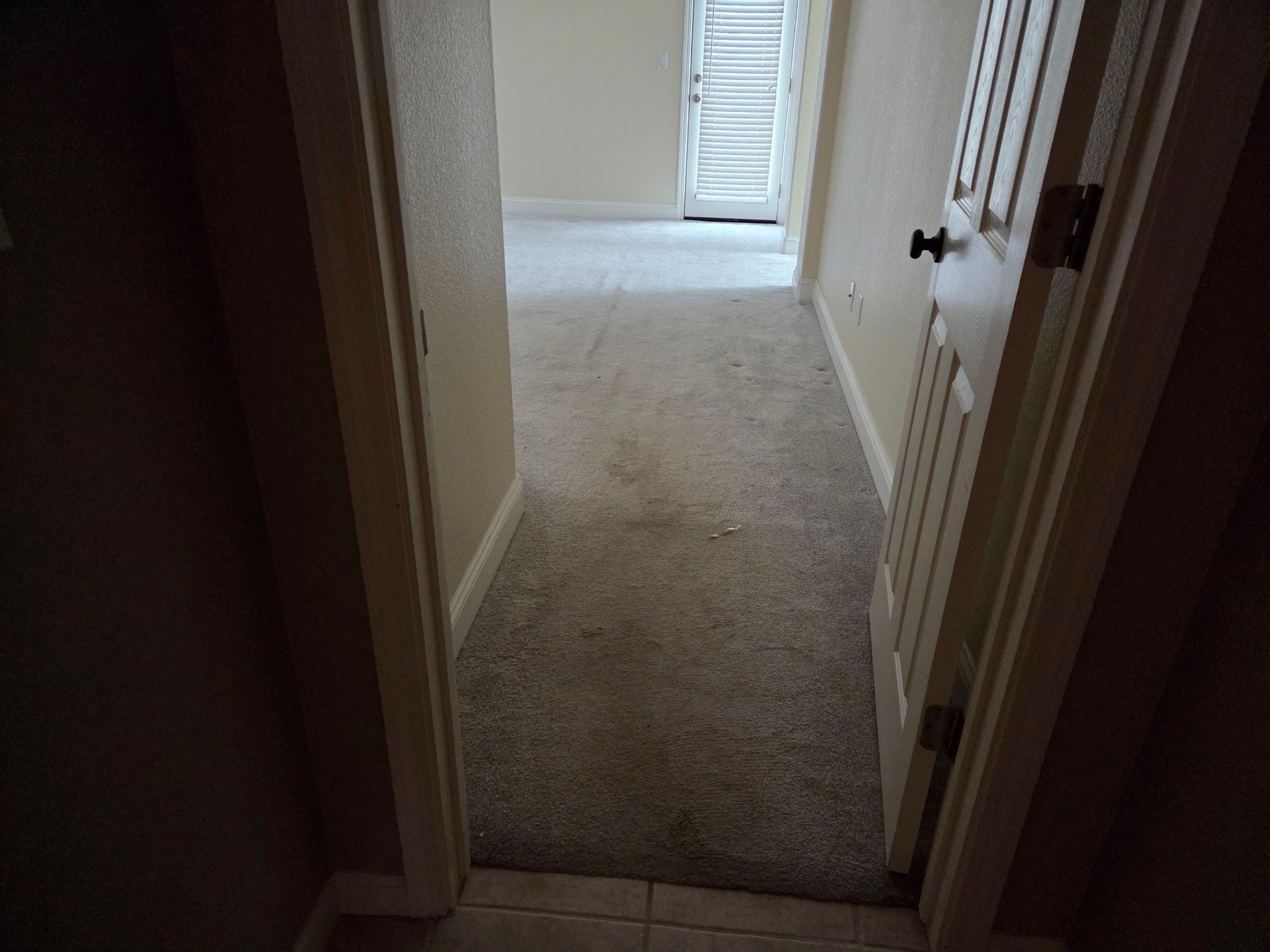 Carmichael Carpet Re-stretching and Cleaning by Ardent Carpet Restore LLC