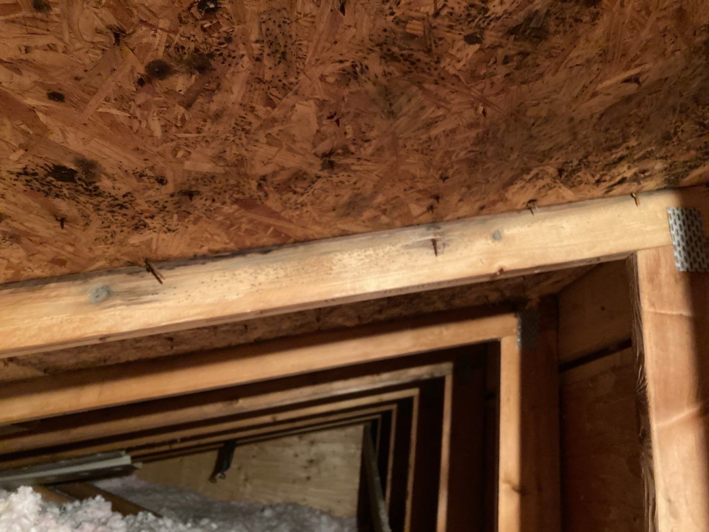 Mold Remediation in Attic by Accountable Home Services