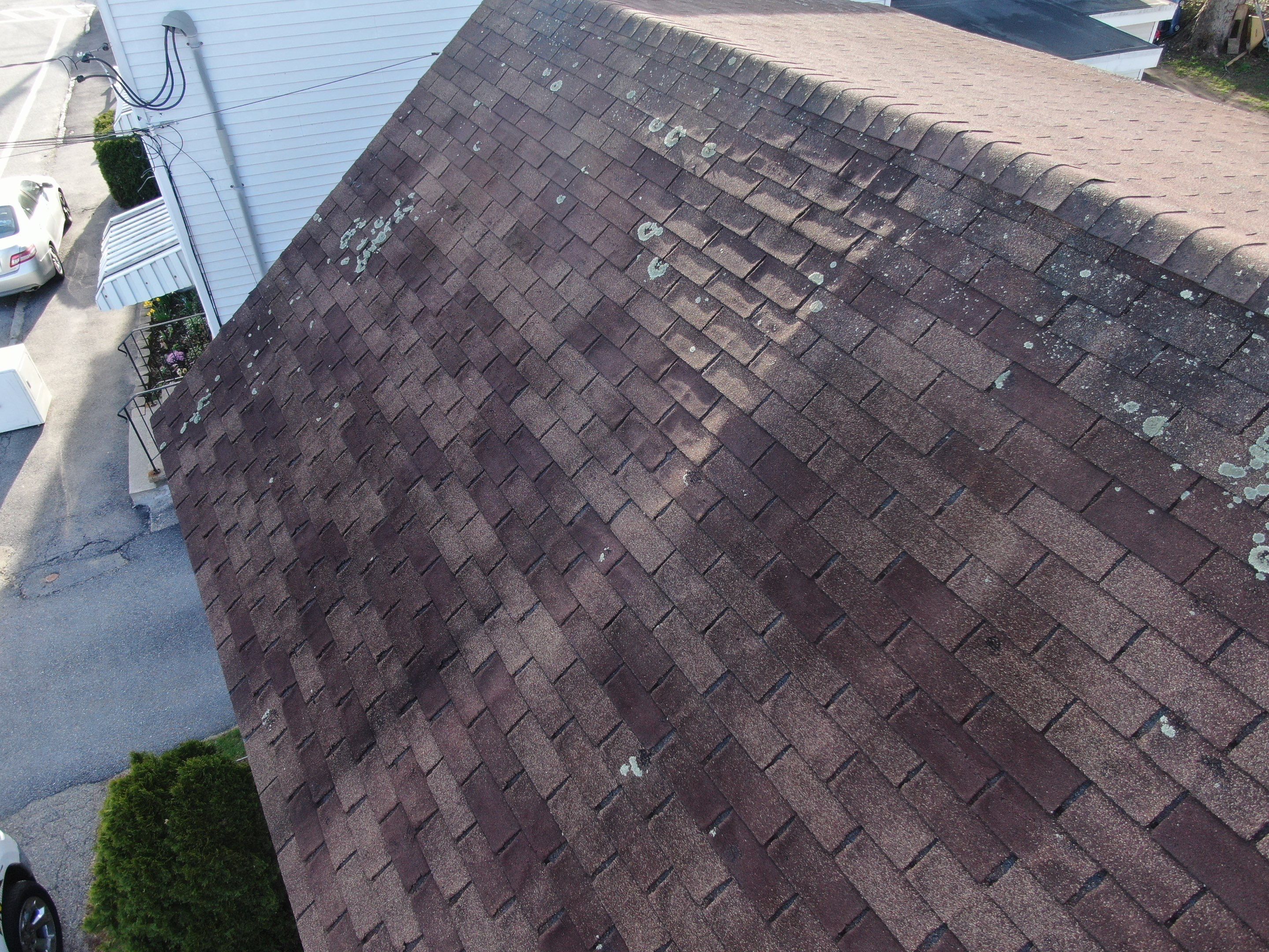 Roof Replacement with Owens Corning TruDefinition Shingles in Midnight Plum by Mighty Dog Roofing of Greater Middlesex County