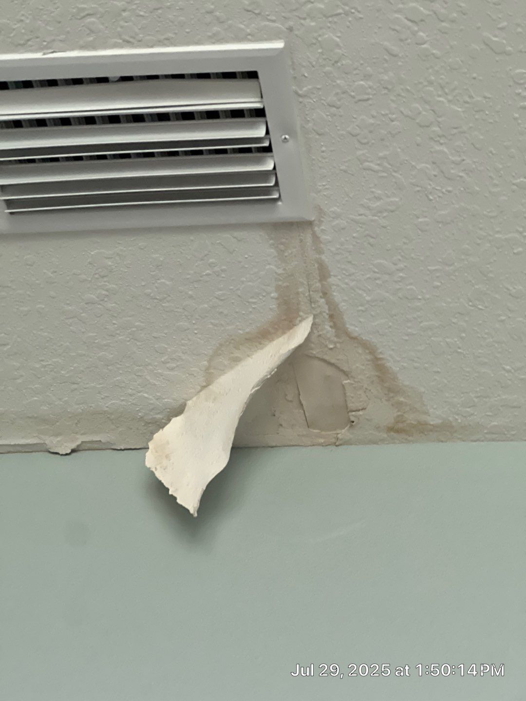 Mold Removal and treatment in Brandon, Florida by Ampm Restoration Services