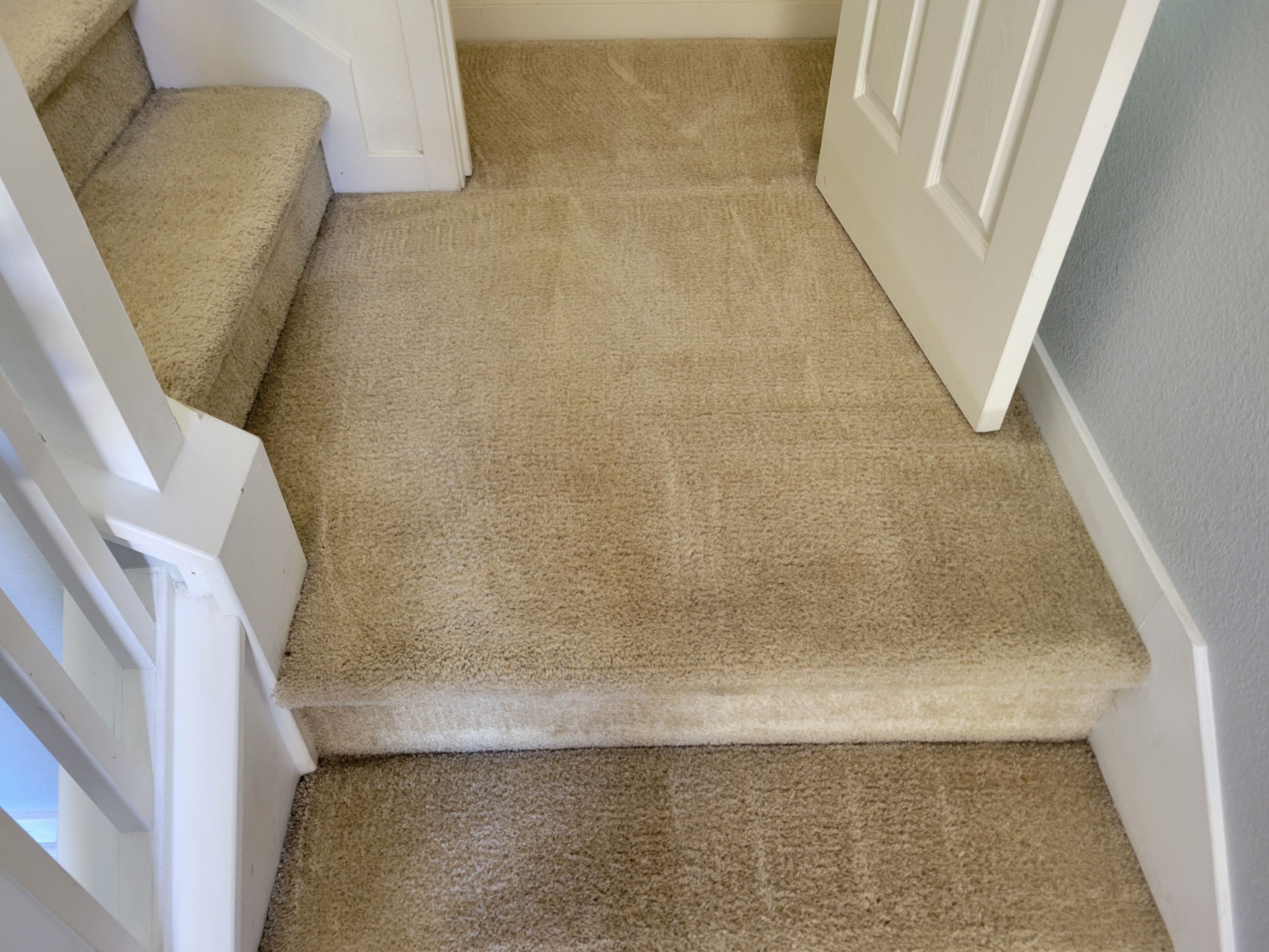 Carpet Cleaning & Stain Removal by Ardent Carpet Restore LLC