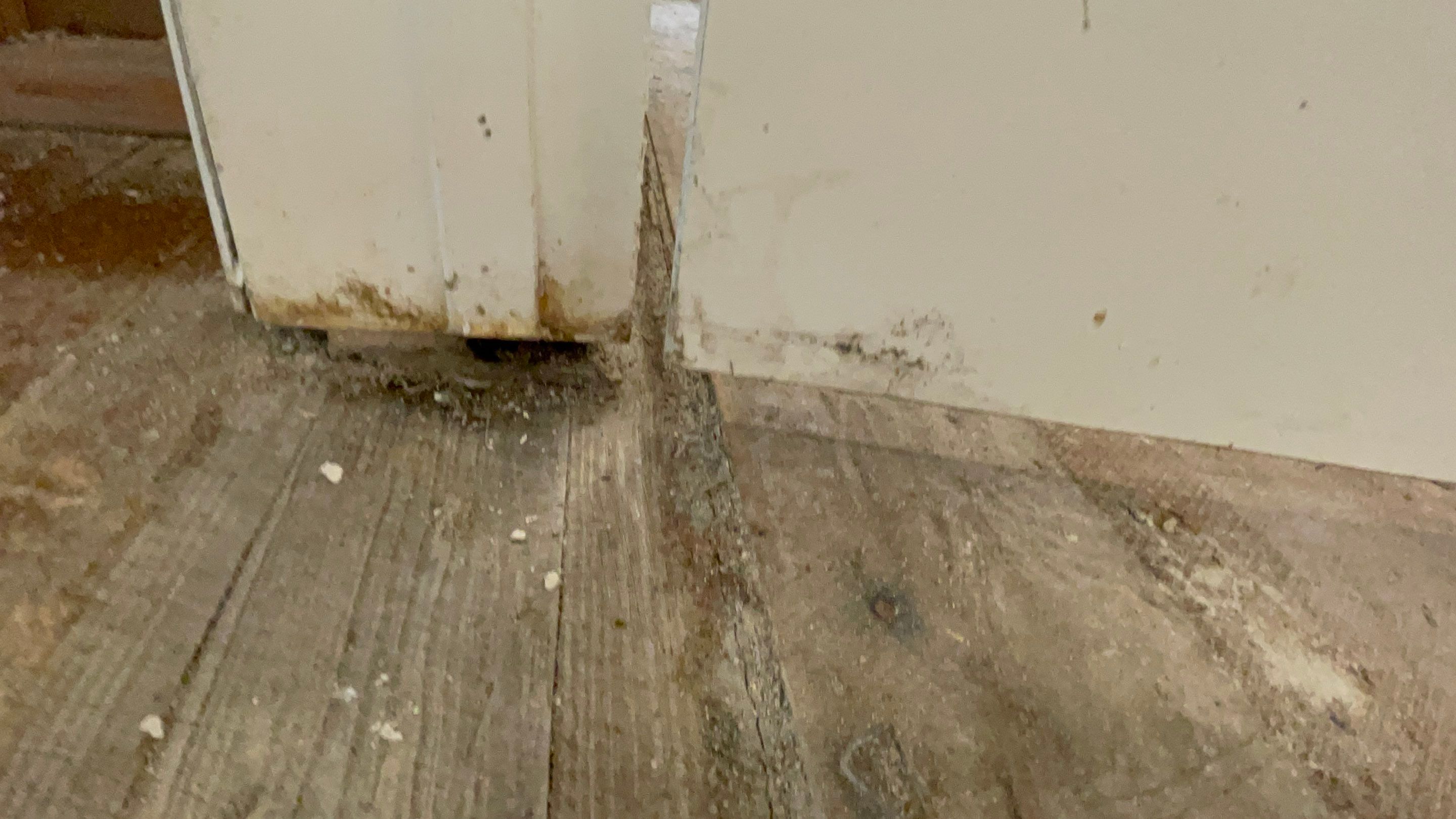 Water Damage Claim in Jersey City by FLAPA & KeyStone