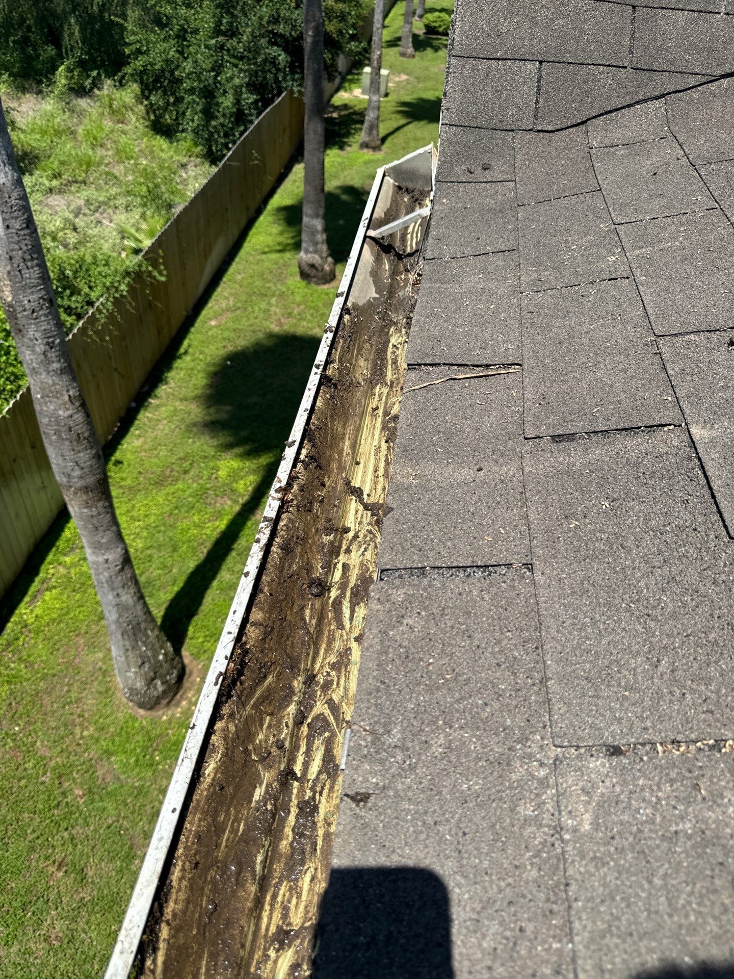 Commercial gutter cleaning Corpus Christi, TX after photo with clean gutters