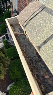 Turtle Shell gutter protection installation in St. Charles, IL 60174, photograph 25