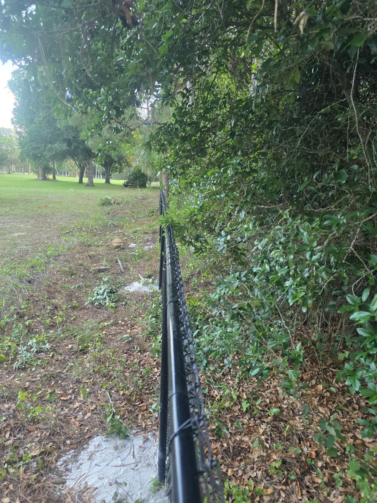 Chain Link Fence in Naples by True Fence LLC