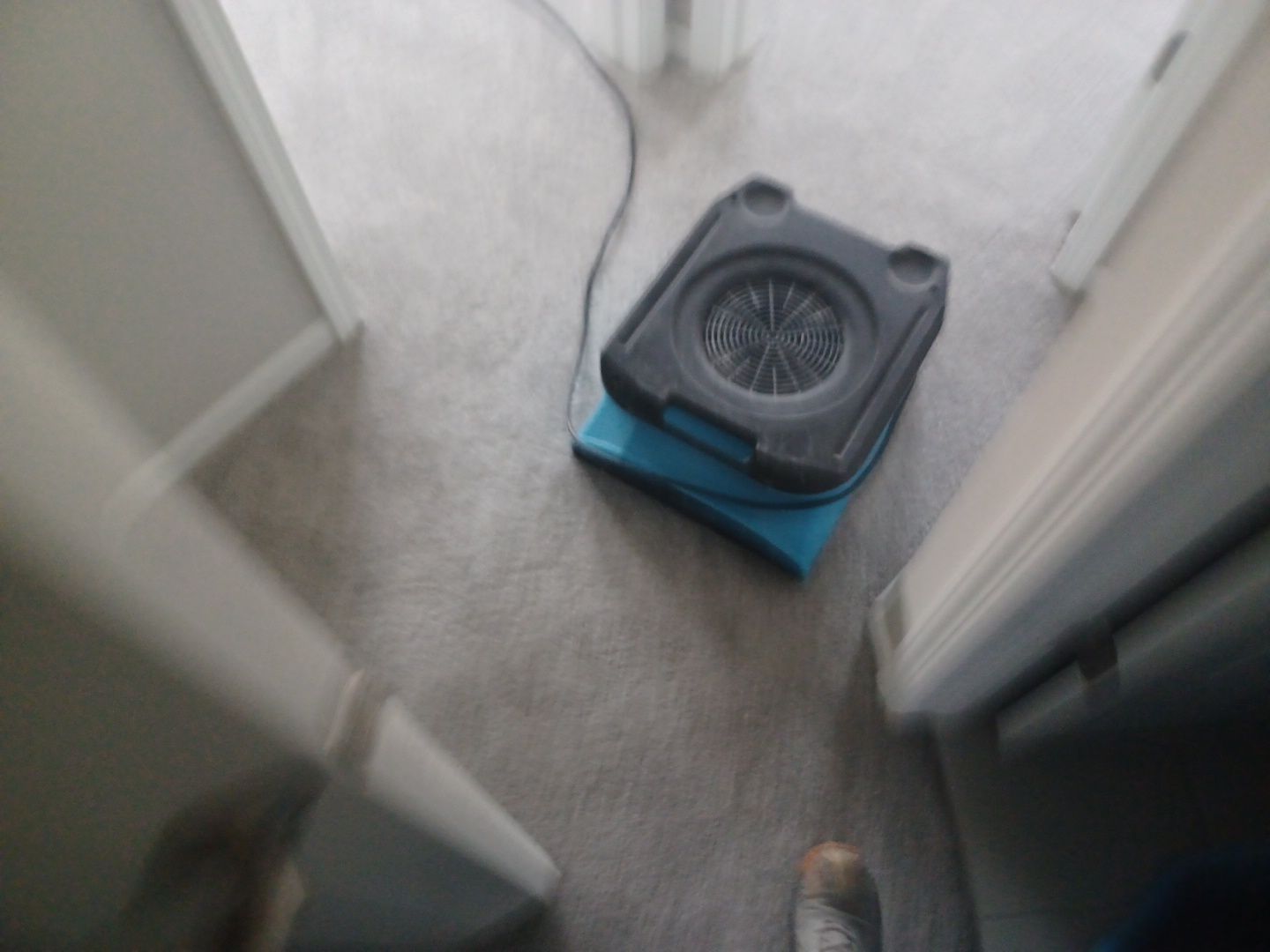 Project in Novi by EzDry Water Mitigation & Property Restoration