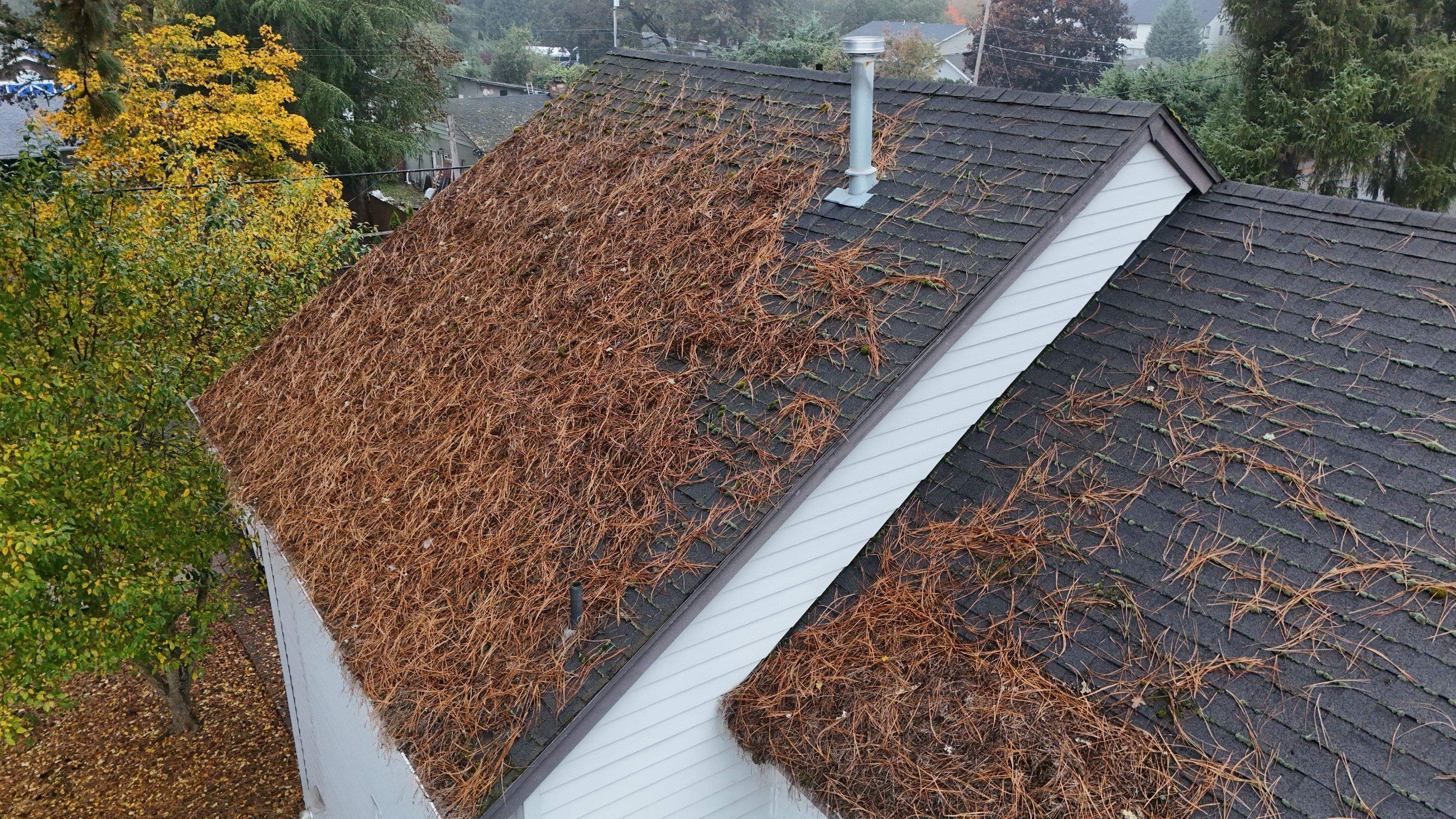 Severe Roof Maintenance in Beaverton by Prodigy Roof Solutions