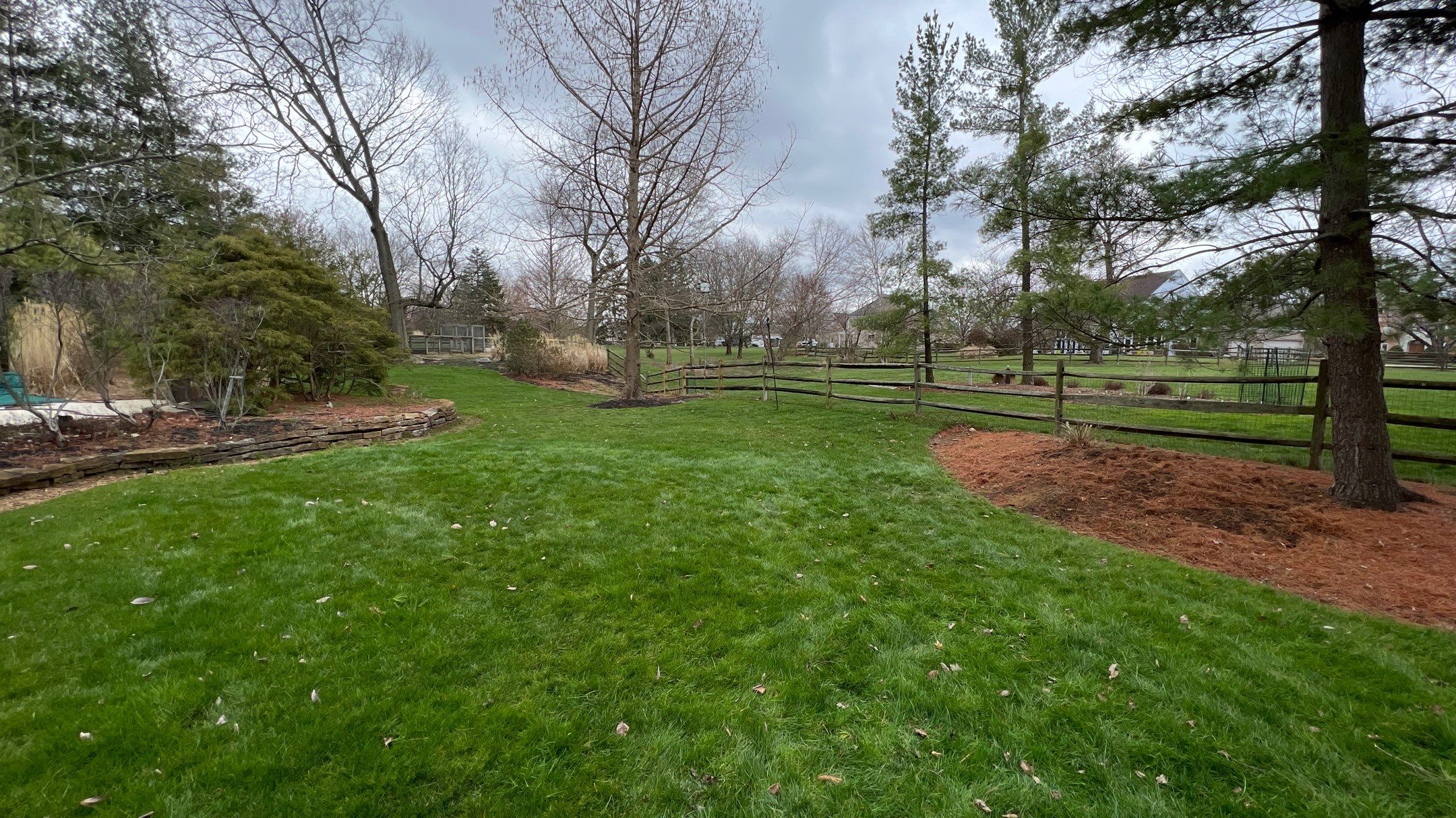 Storm Damage Tree Removal by Reisenberg’s Lawn & Landscape, LLC