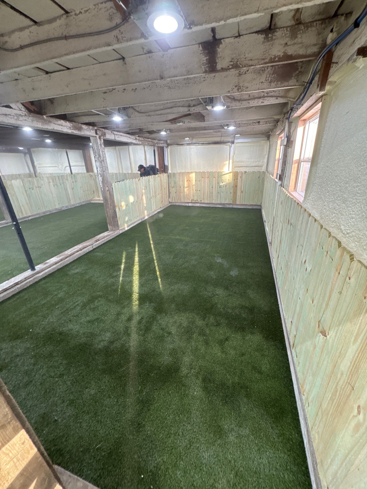K9Grass in Pittsboro, IN by ForeverLawn NEIN/INDY