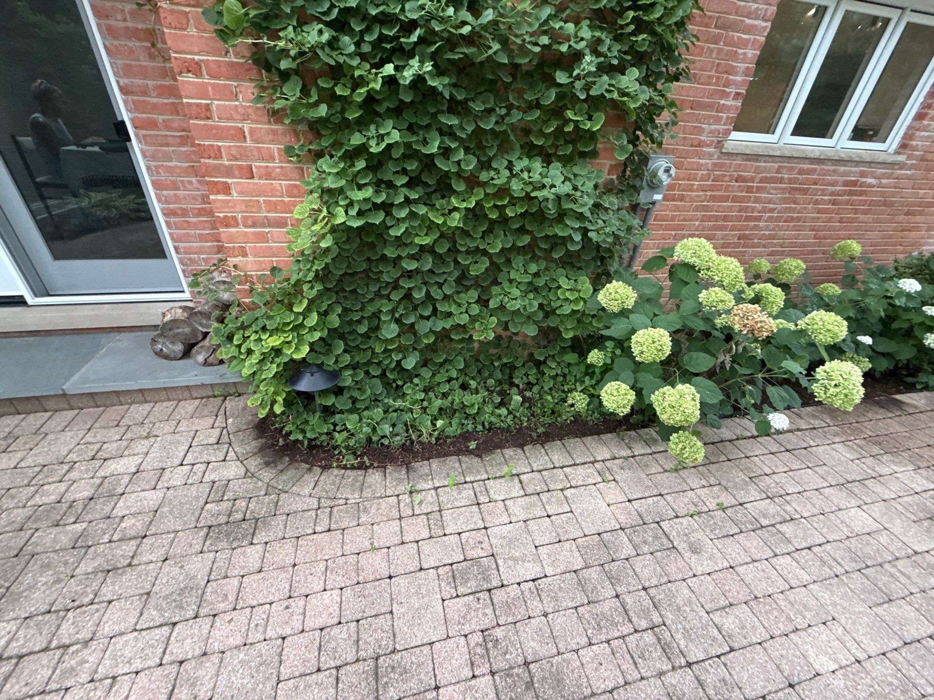 Christopher B. - Glenview, IL by A&N