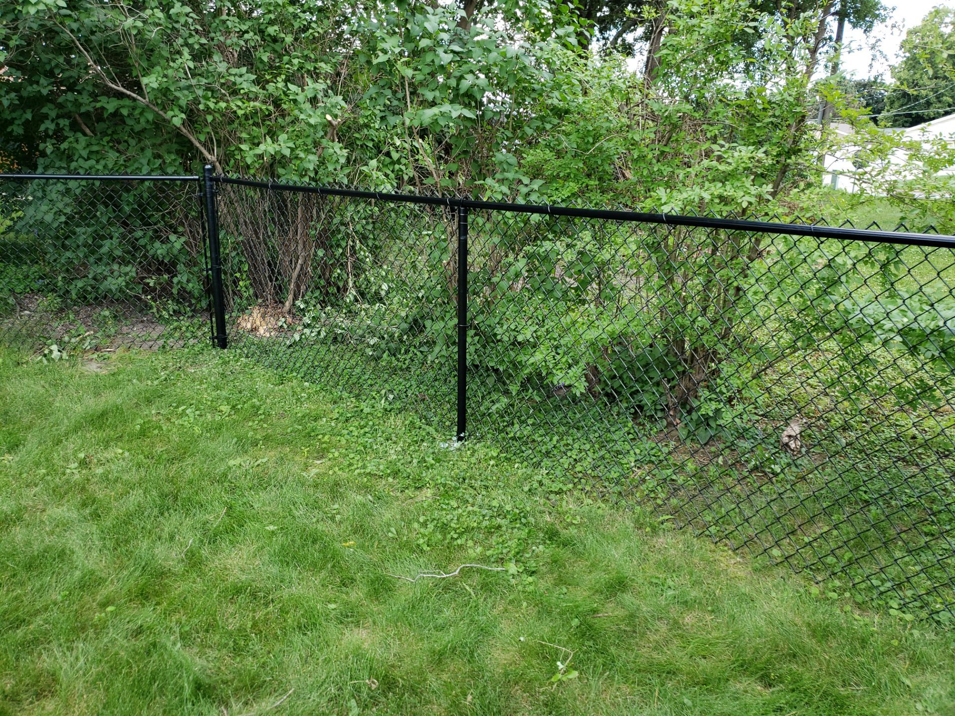 Project in Waterloo by Perfect Picket Fence and Stain