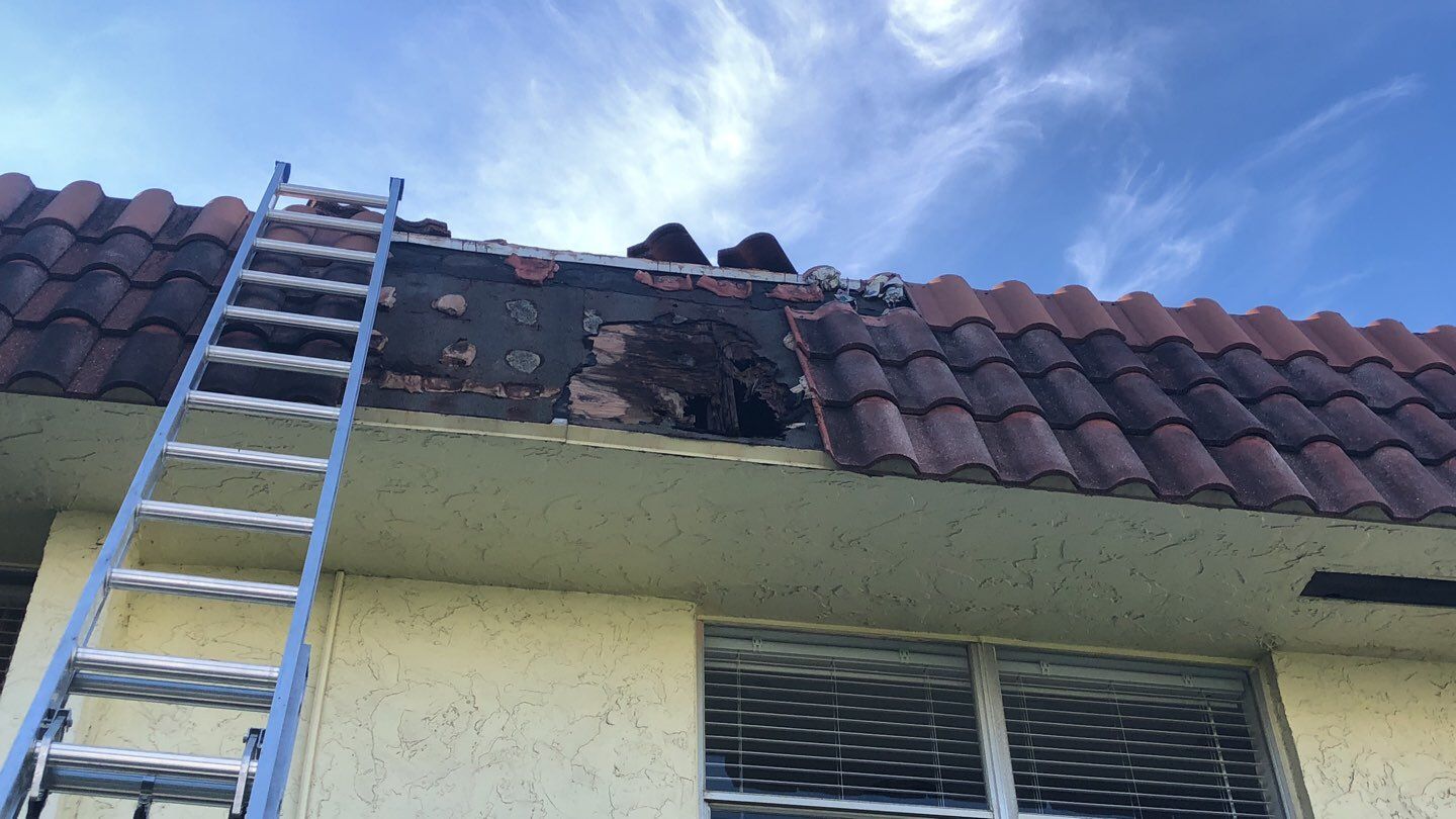 Roofing repair & Exteriors using Concrete Roof Tile by Aastro Roofing