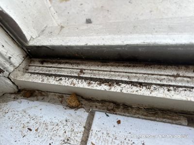 Emergency Water Extraction — Naples, FL