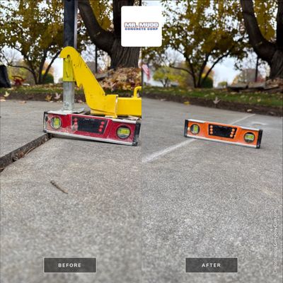 Project in Boise