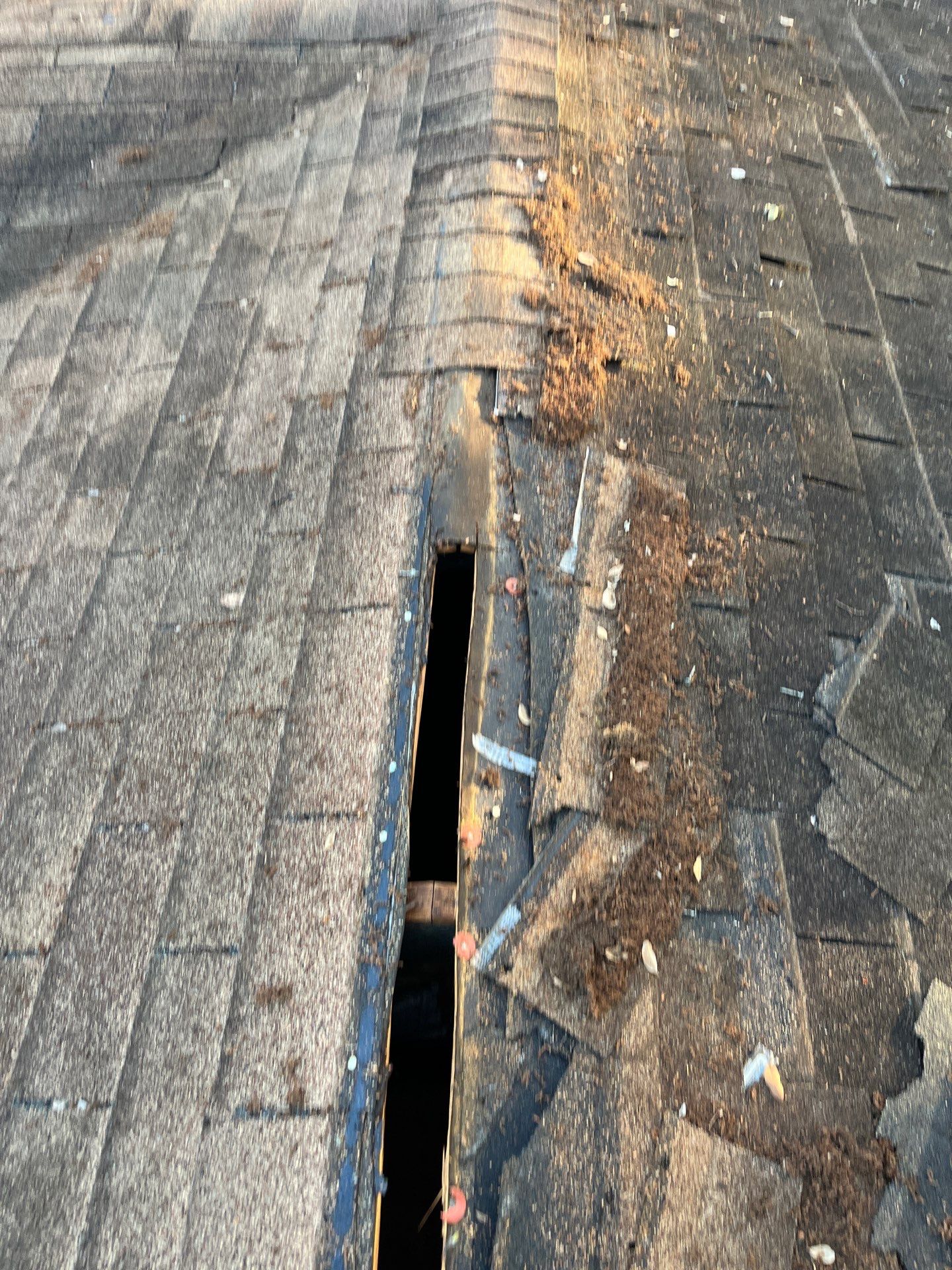 Project in Oldsmar 34677 by Mitchell Roofing Company LLC