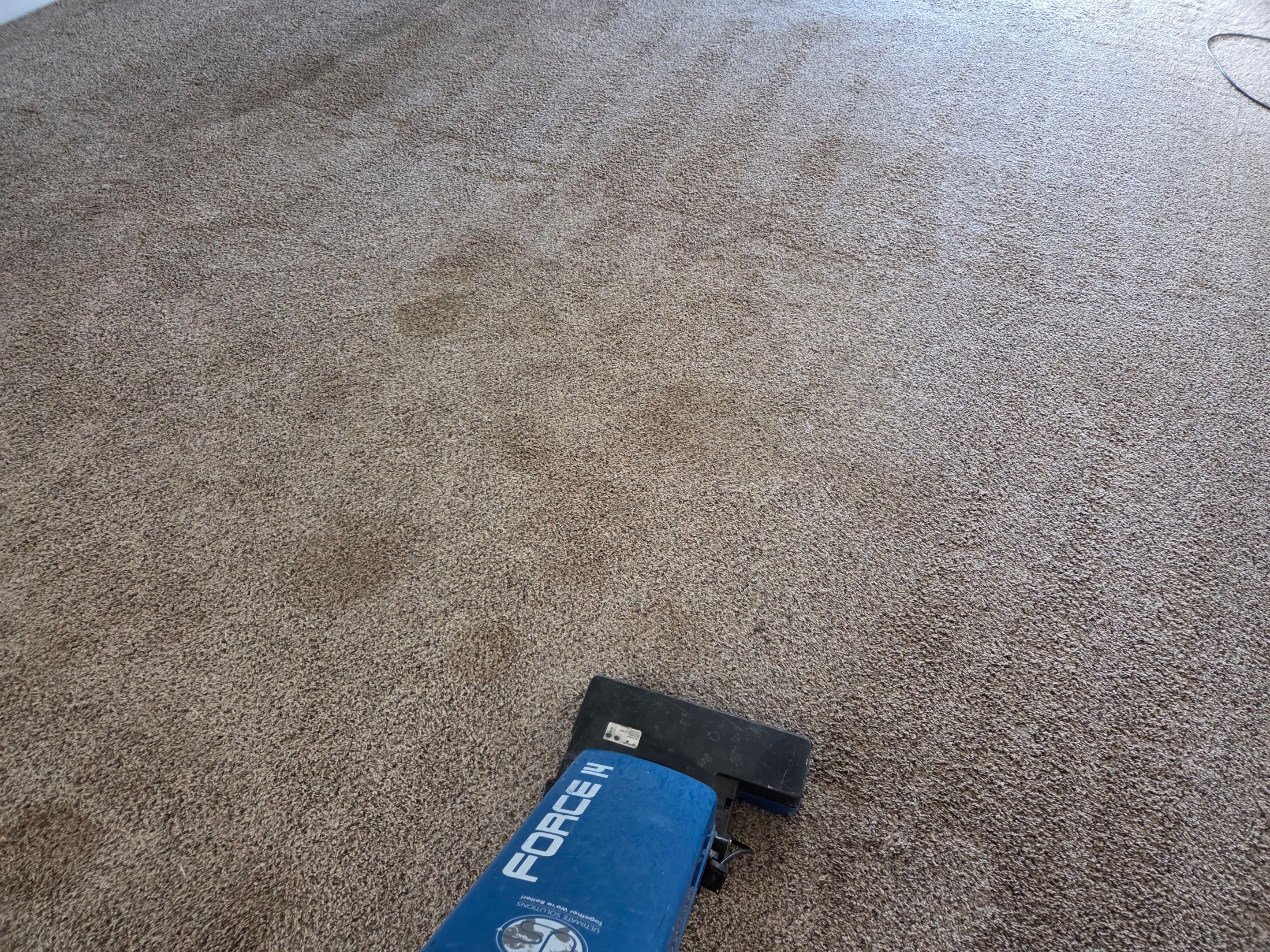 Move-Out Carpet Repairs & Carpet Cleaning by Ardent Carpet Restore LLC