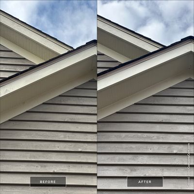 Project in Woodstock