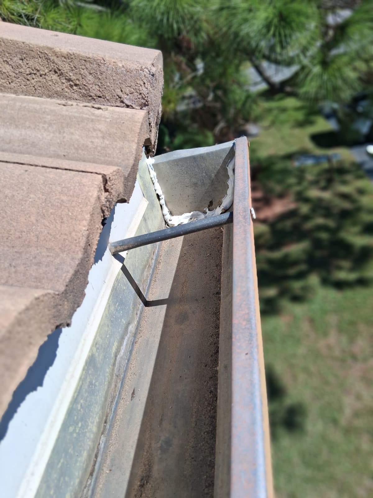 Gutter Cleaning Service in Sarasota FL by Gutter Professors