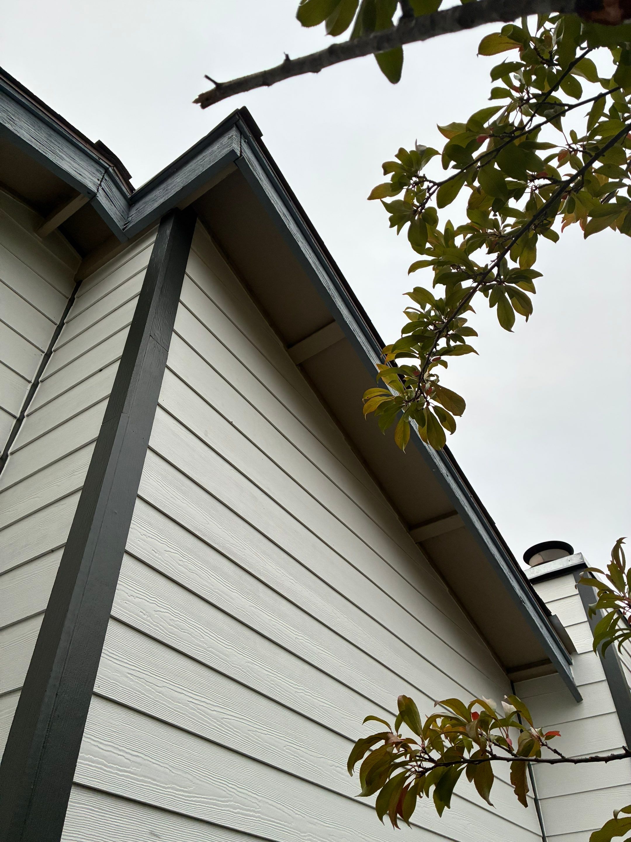 Ecker st, Campbell  by Golden State Builders Group