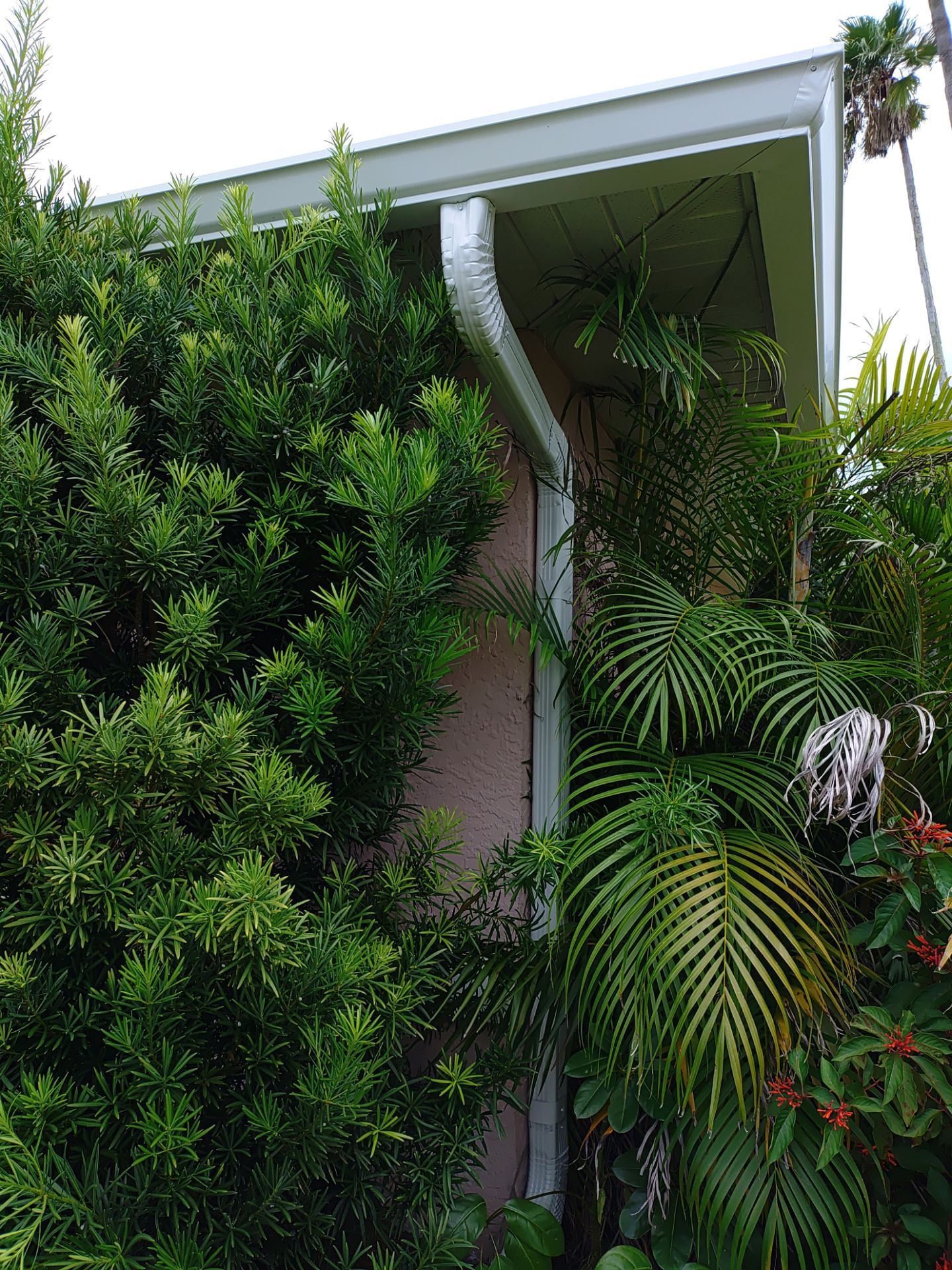 Replace gutter using White Down Spouts in Cape Coral FL by Gutter Professors