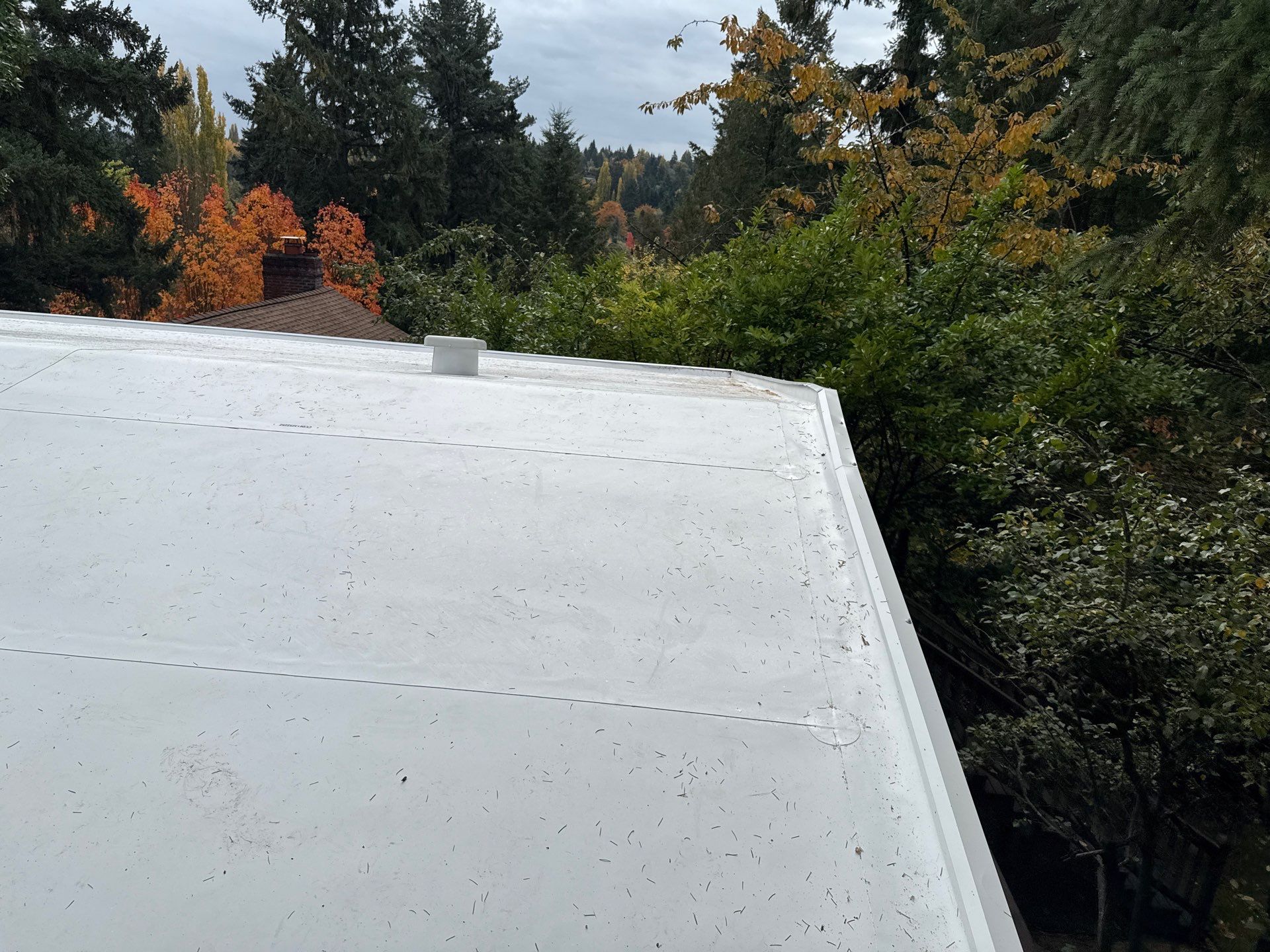 Seattle WA, GAF Everguard TPO  by Proline Roofing & Restoration LLC