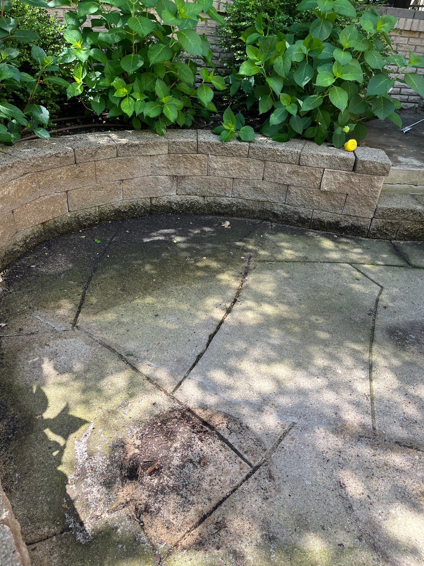 concrete power washing using Algaecide, soft wash soap by Northern Power Washing LLC.