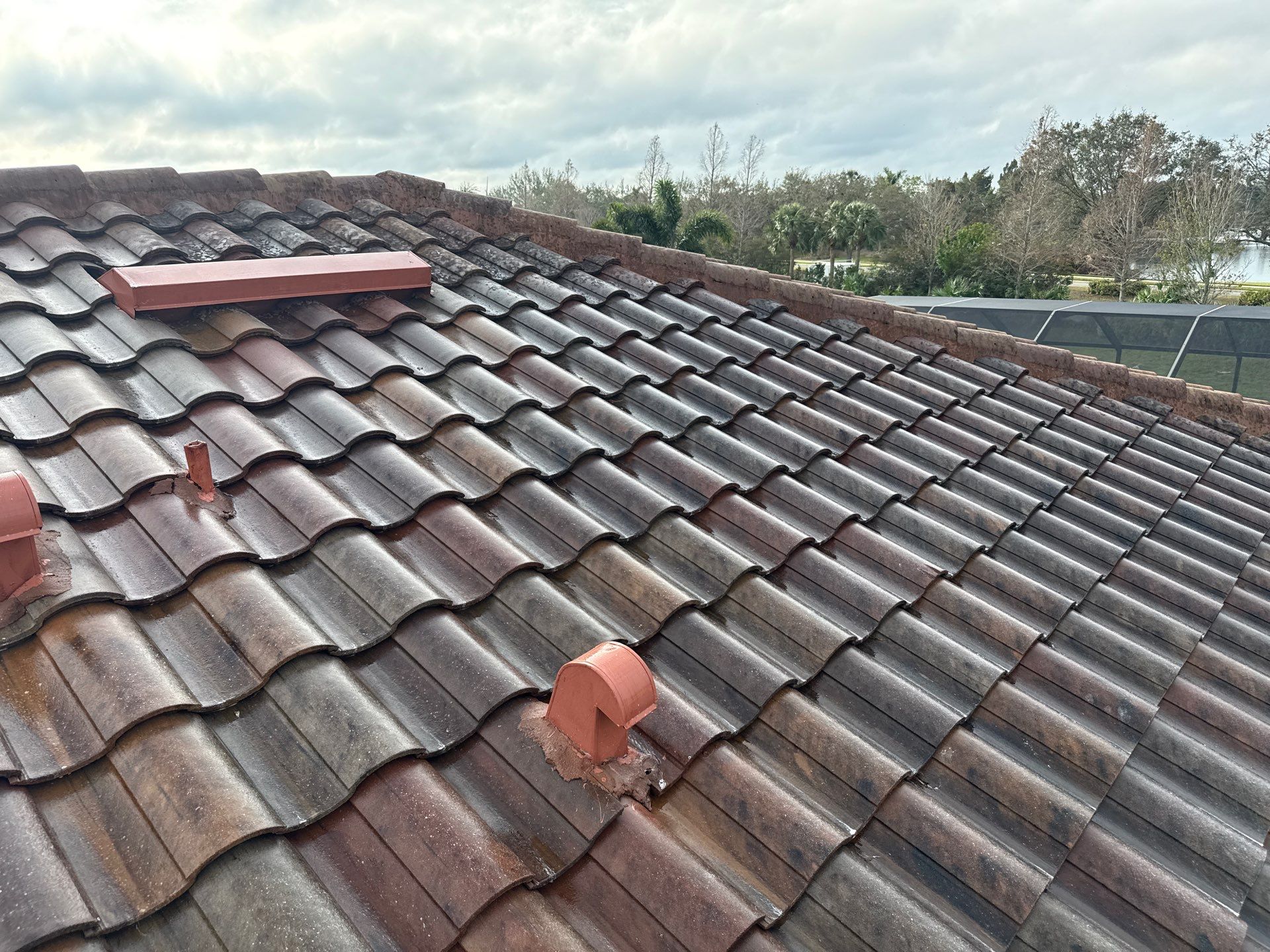 Paver Pool Deck, Driveway & Concrete Tile Roof Cleaning in River Strand, Bradenton, FL | Sunshine AquaWash by Sunshine AquaWash