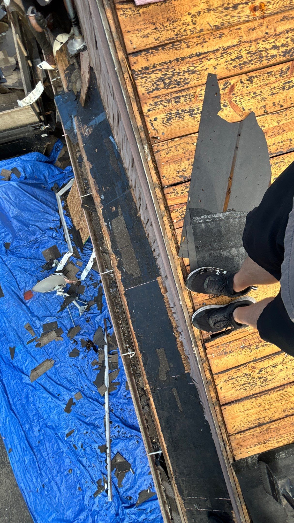 Roof Replacement using Owens Corning Summer Harvest by 180 Contractors