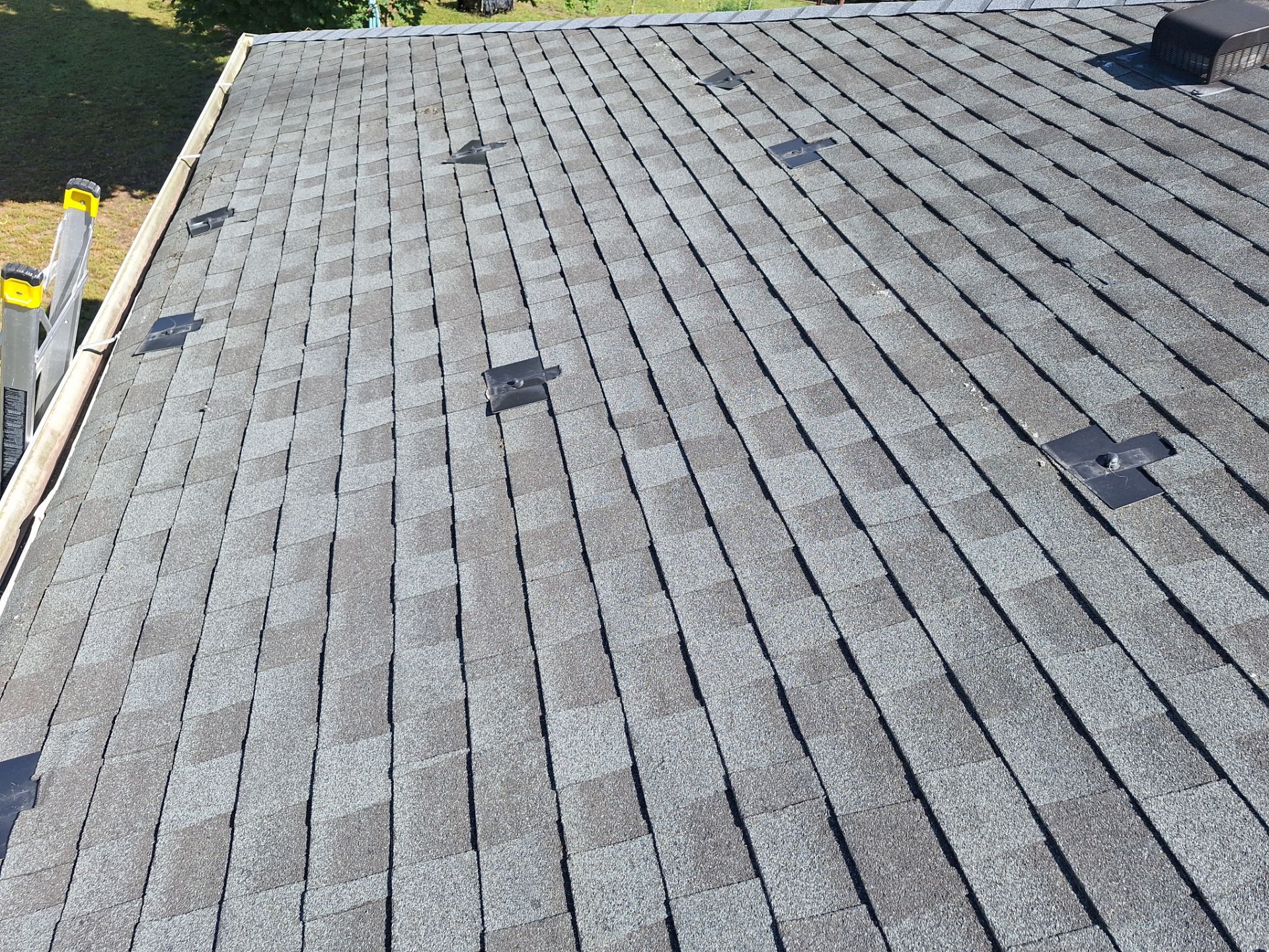 Silver Birch Shingles by Reimagine Roofing