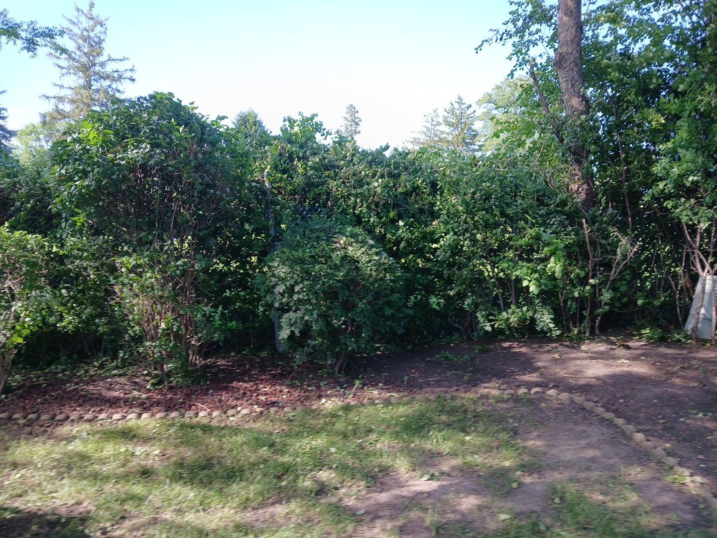 Andrew L. - Arlington Heights, IL by A&N