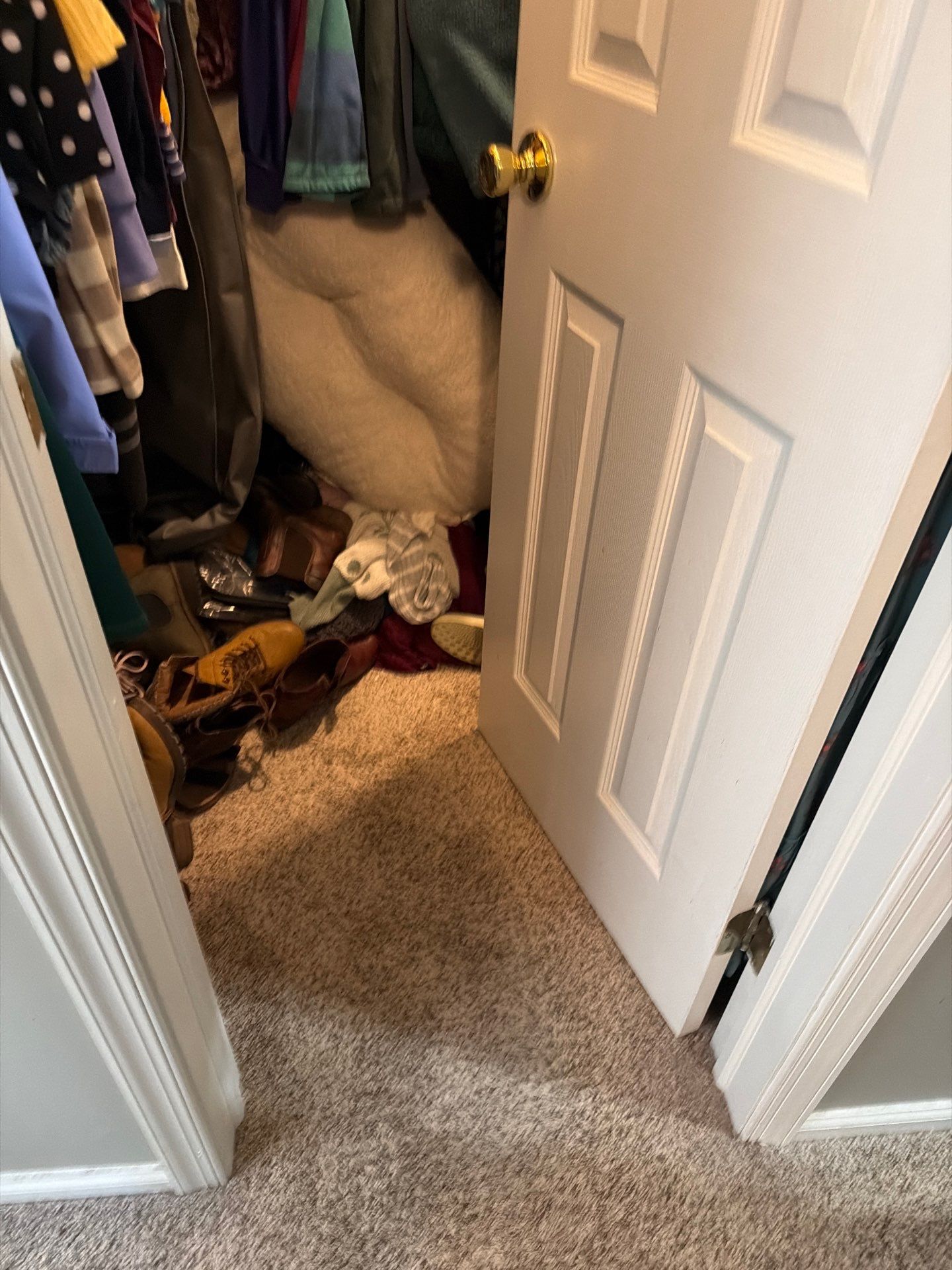 Water Damage Claim in Telford by FLAPA & KeyStone