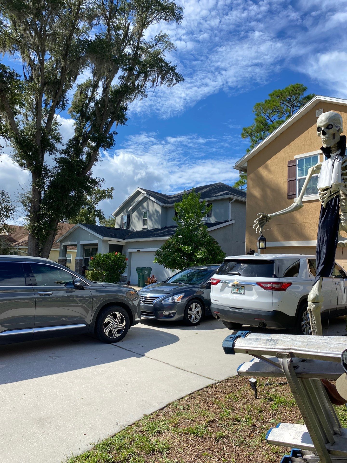 Property Clean Up | Residential by ProGreen Services