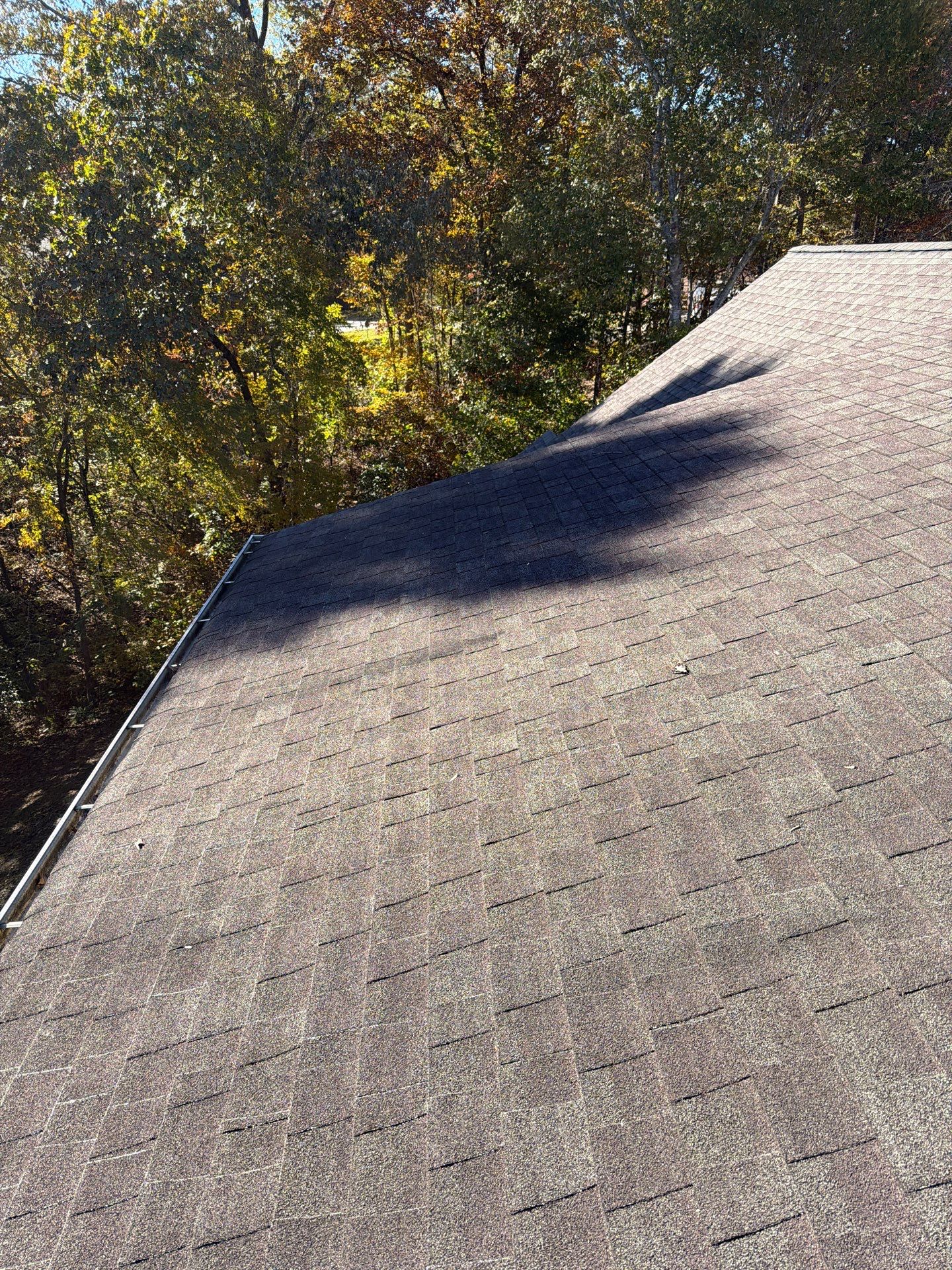 The Wilkins by United Contracting and Roofing
