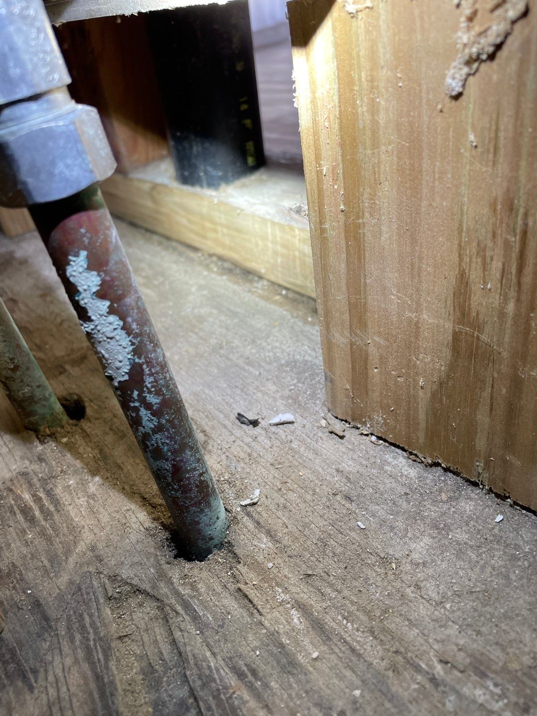 Mold Damage Project in Littleton by Accountable Home Services