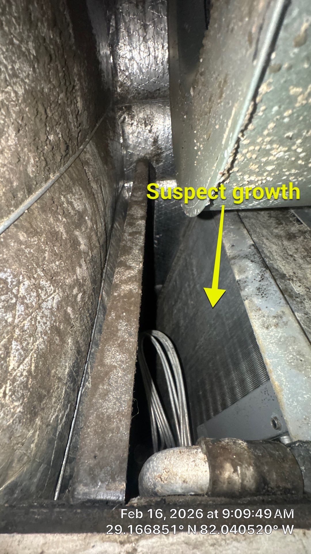 Air Duct Cleaning in Ocala by Hygienic Air, Inc