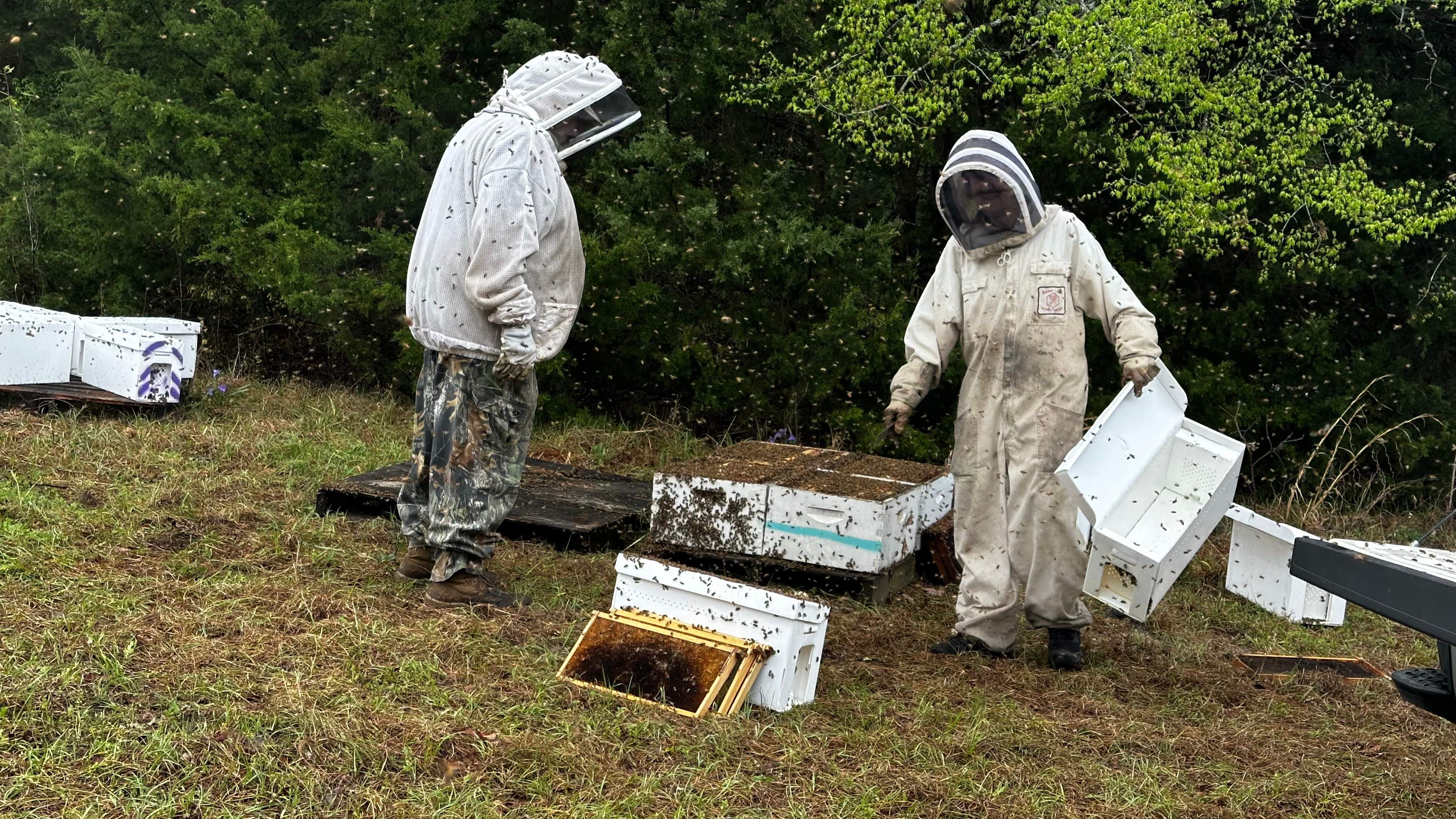 BeeGirl ETX HQ by Rockwall Honey Bee Company