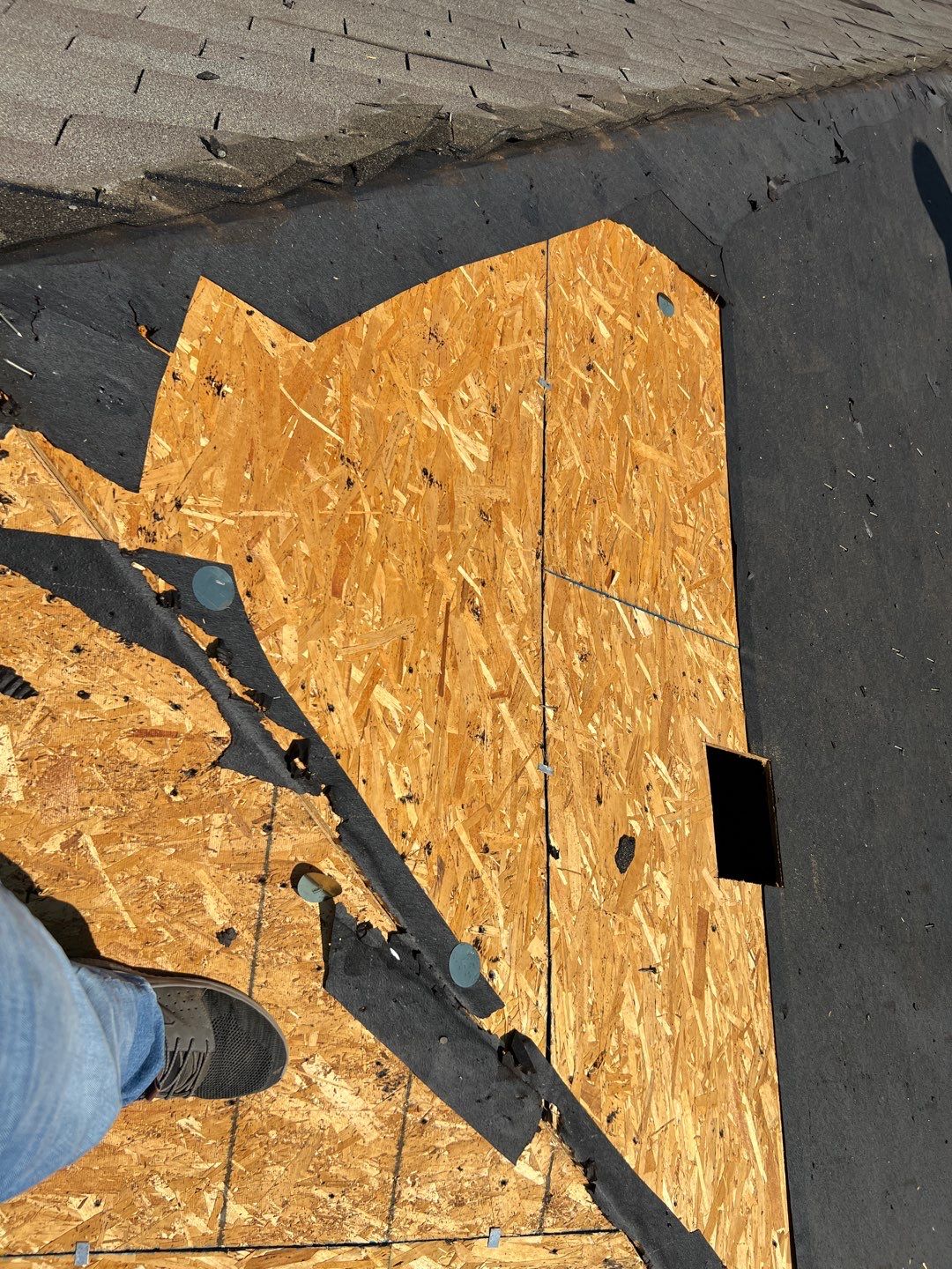 Full Asphalt Shingle Roof Replacement in Hutto by Caliber Restoration LLC