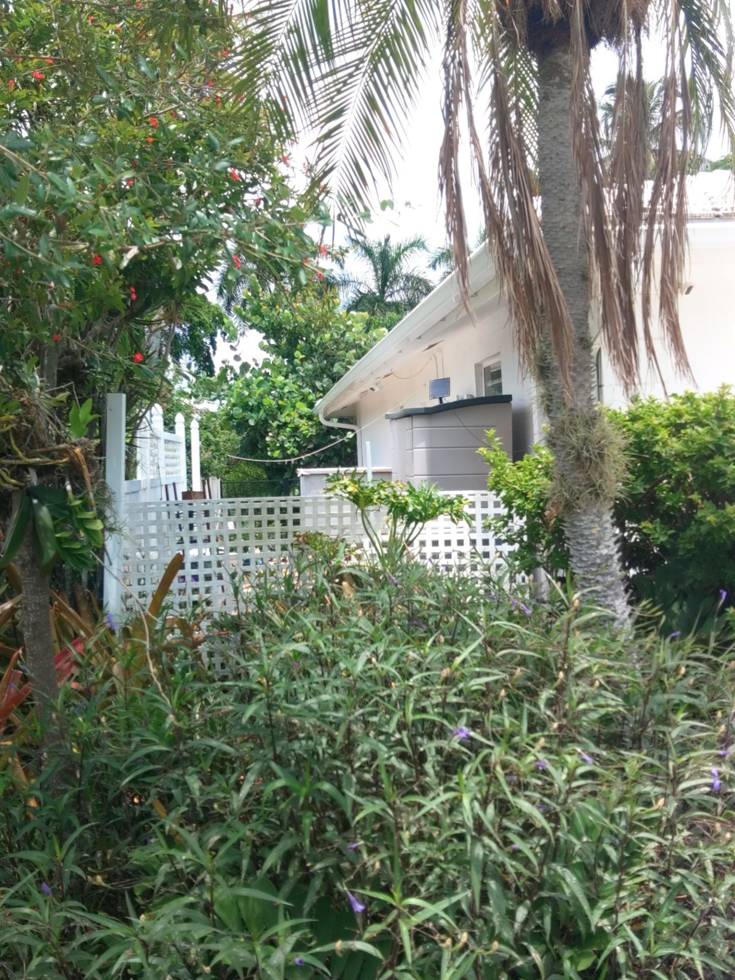 K-Style Seamless Gutter Installation using 3X4 Elbow Downspout in Marco Island, FL  by Gutter Professors